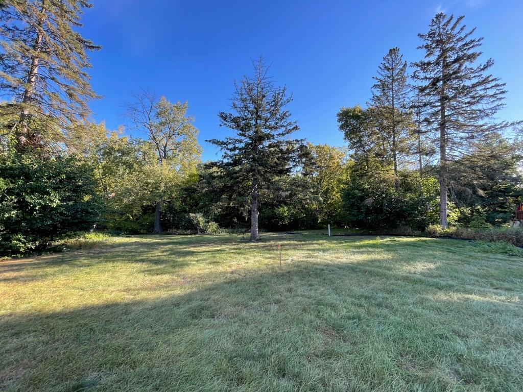 MLS #NST6551693 image #9