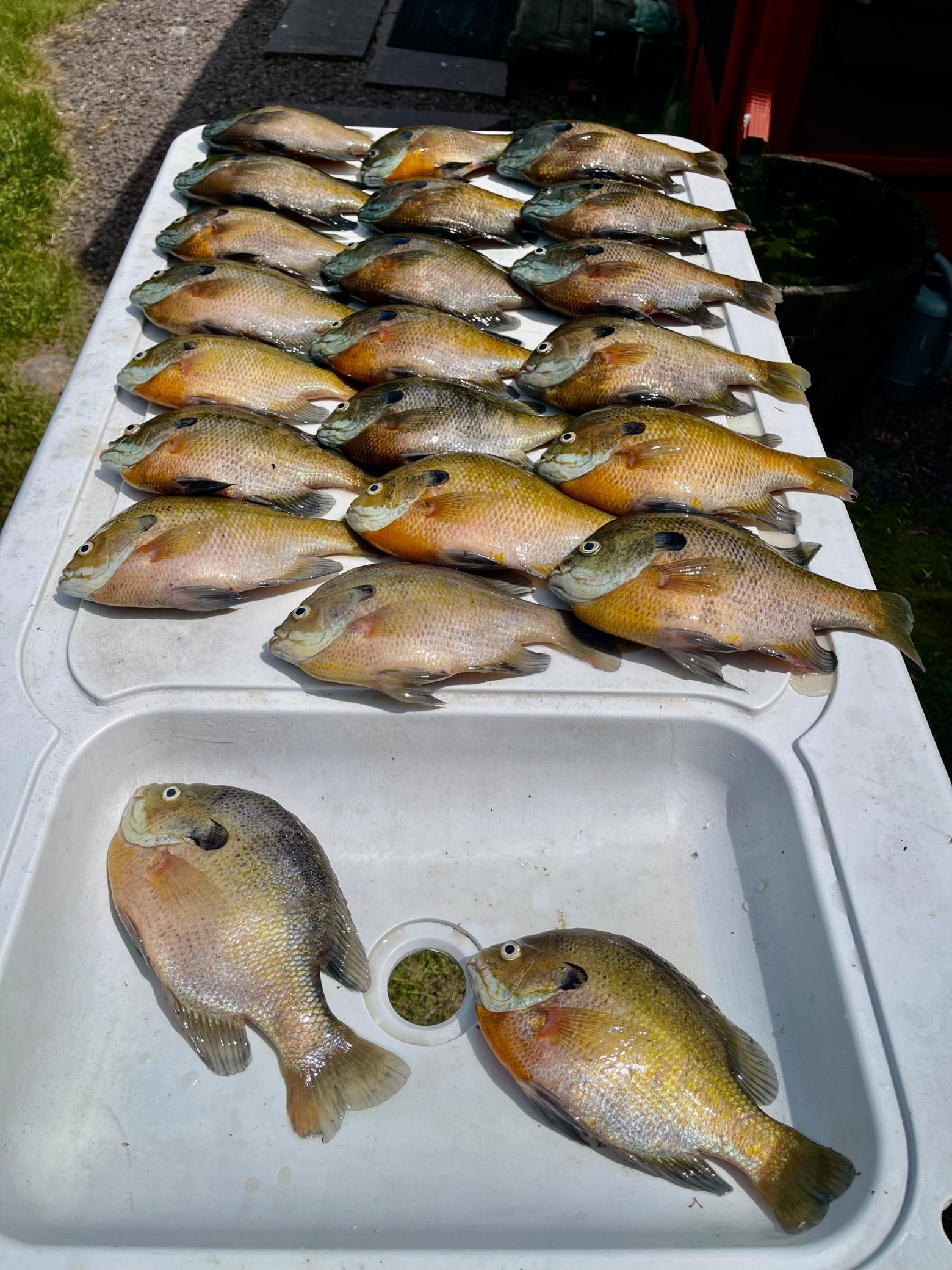 108 Lakota Island, Big Stone City, SD, 57216