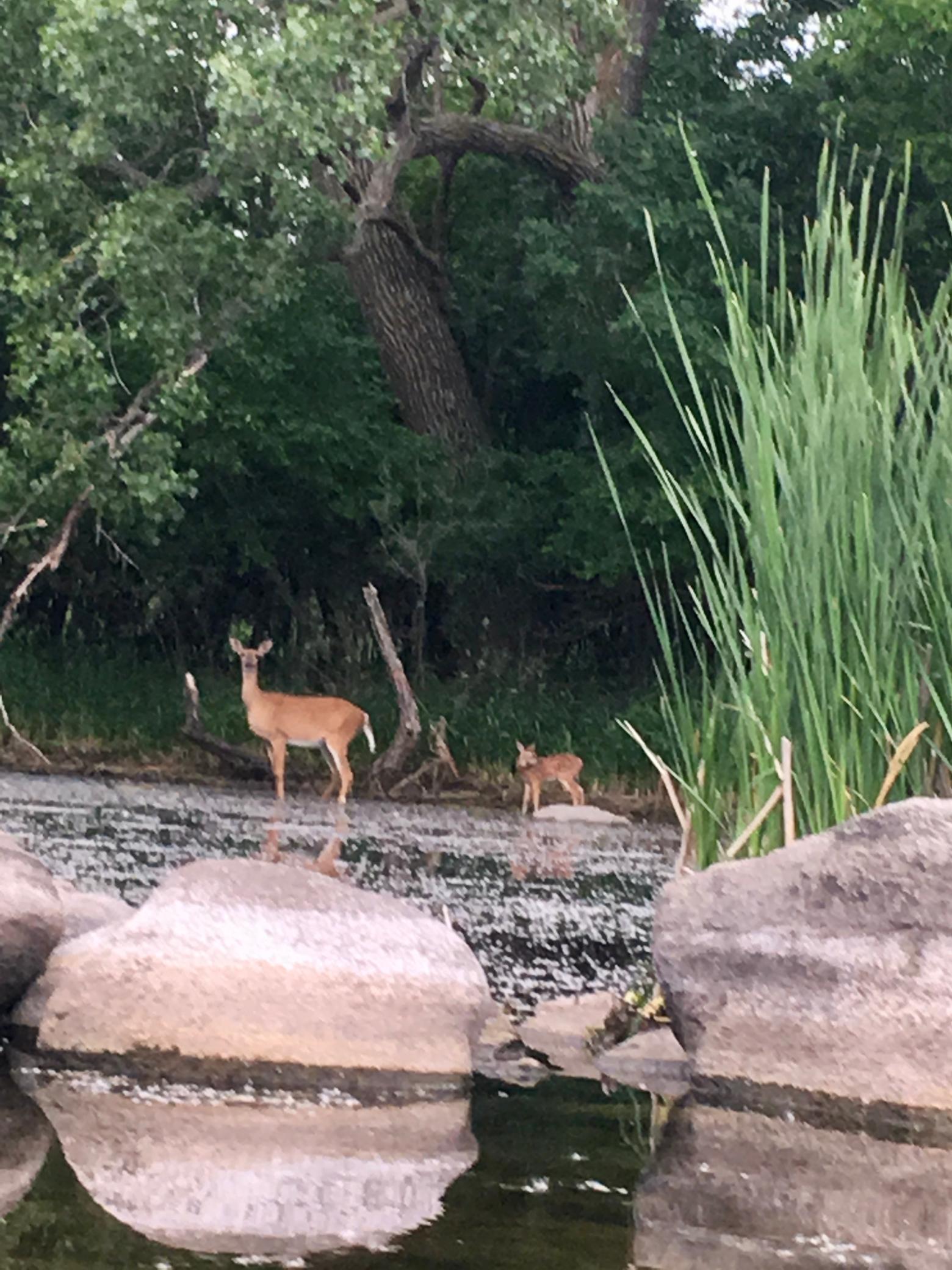 108 Lakota Island, Big Stone City, SD, 57216