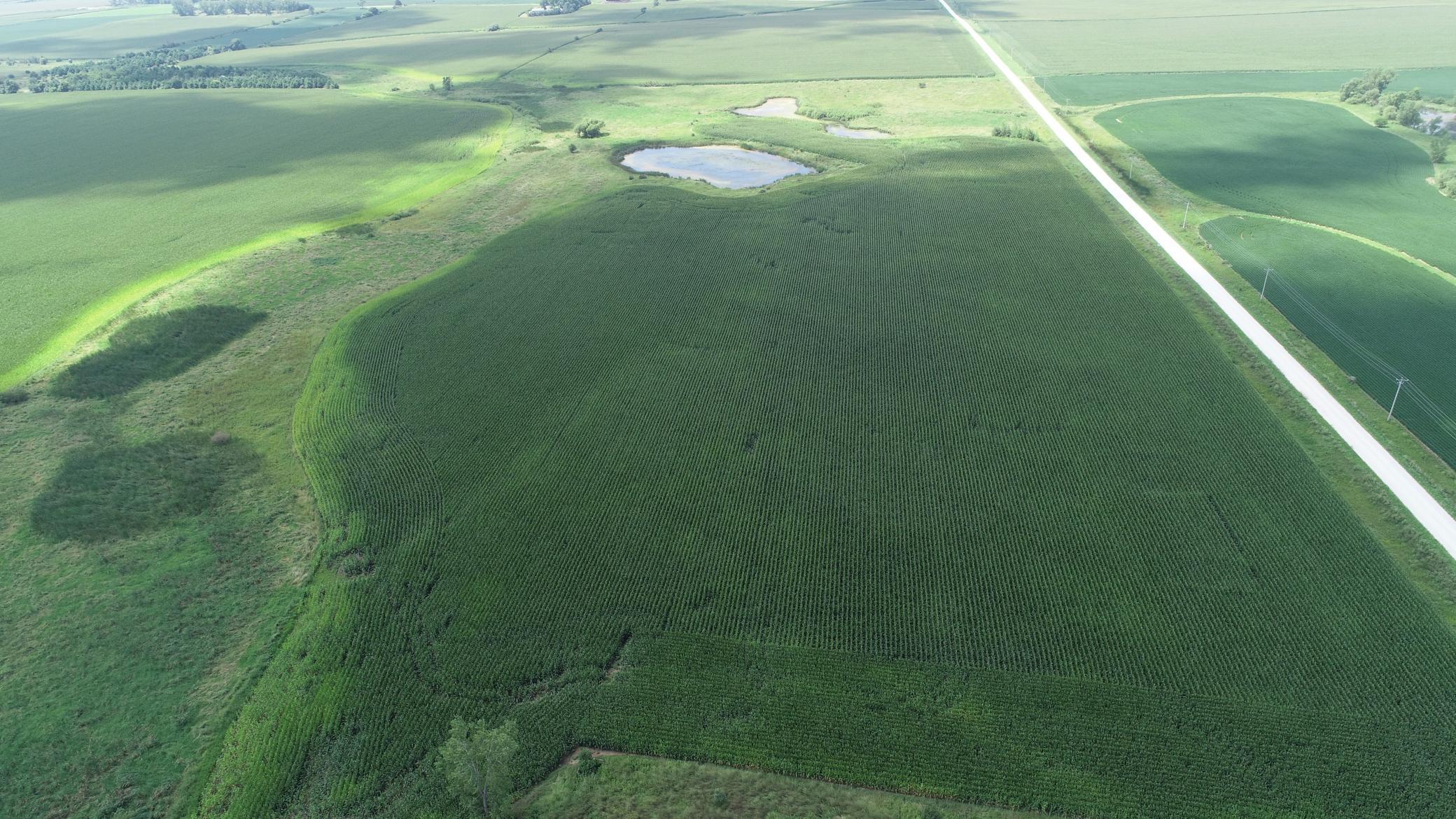 xxx Hwy 63 South, Spring Valley, MN, 55975