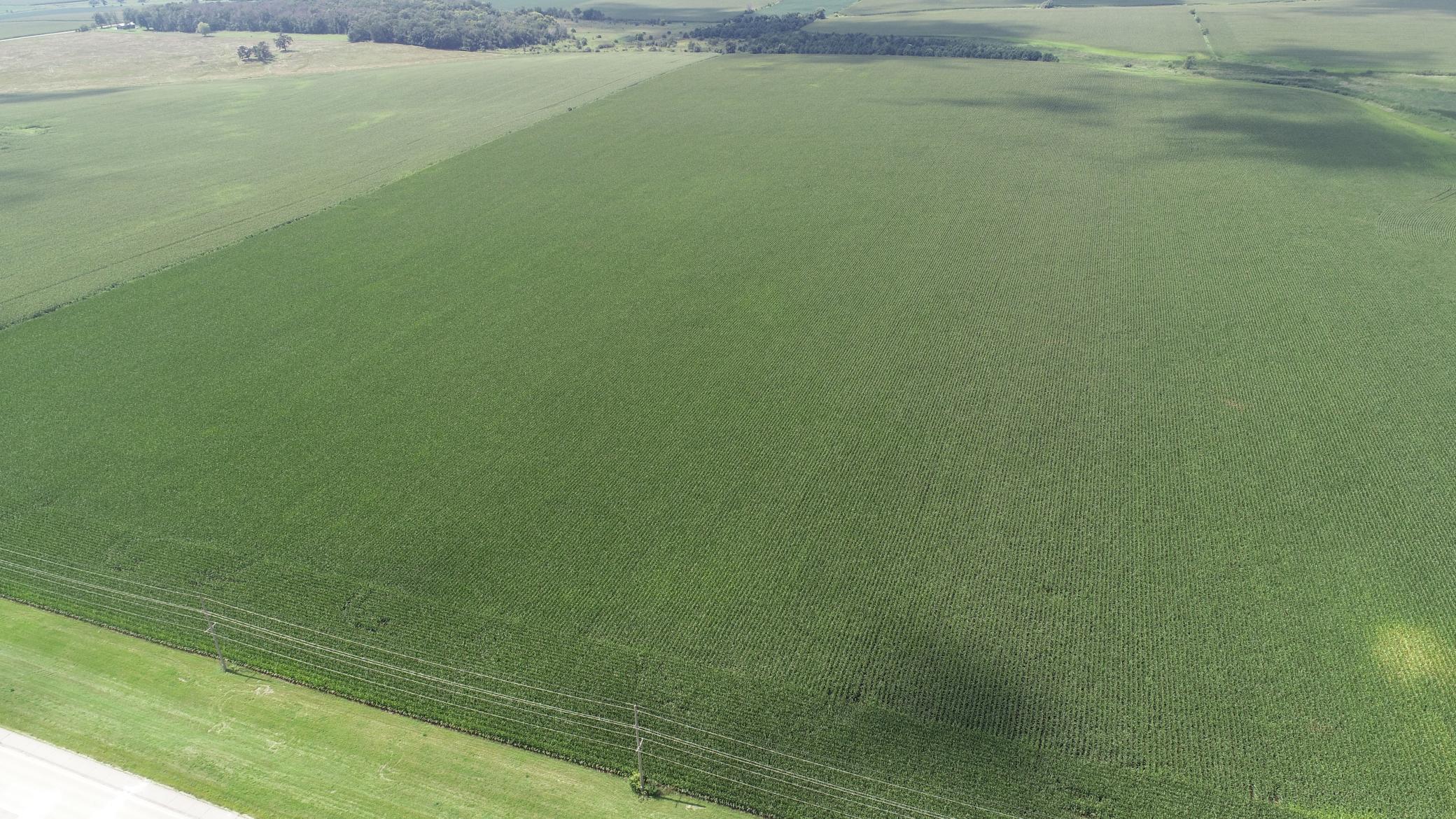 xxx Hwy 63 South, Spring Valley, MN, 55975