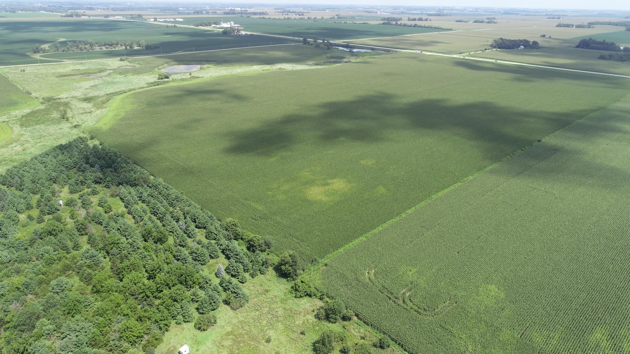 xxx Hwy 63 South, Spring Valley, MN, 55975