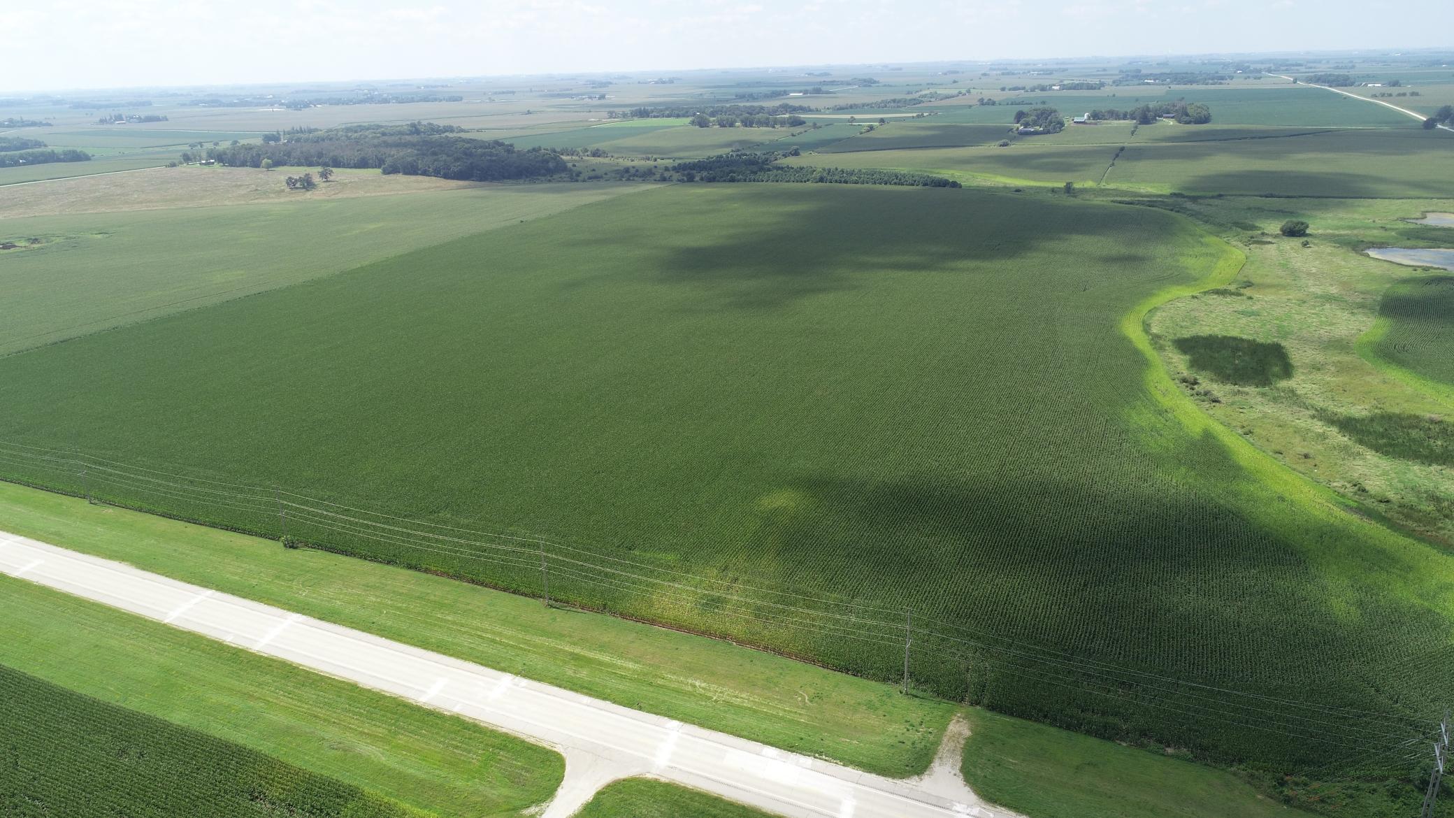 xxx Hwy 63 South, Spring Valley, MN, 55975