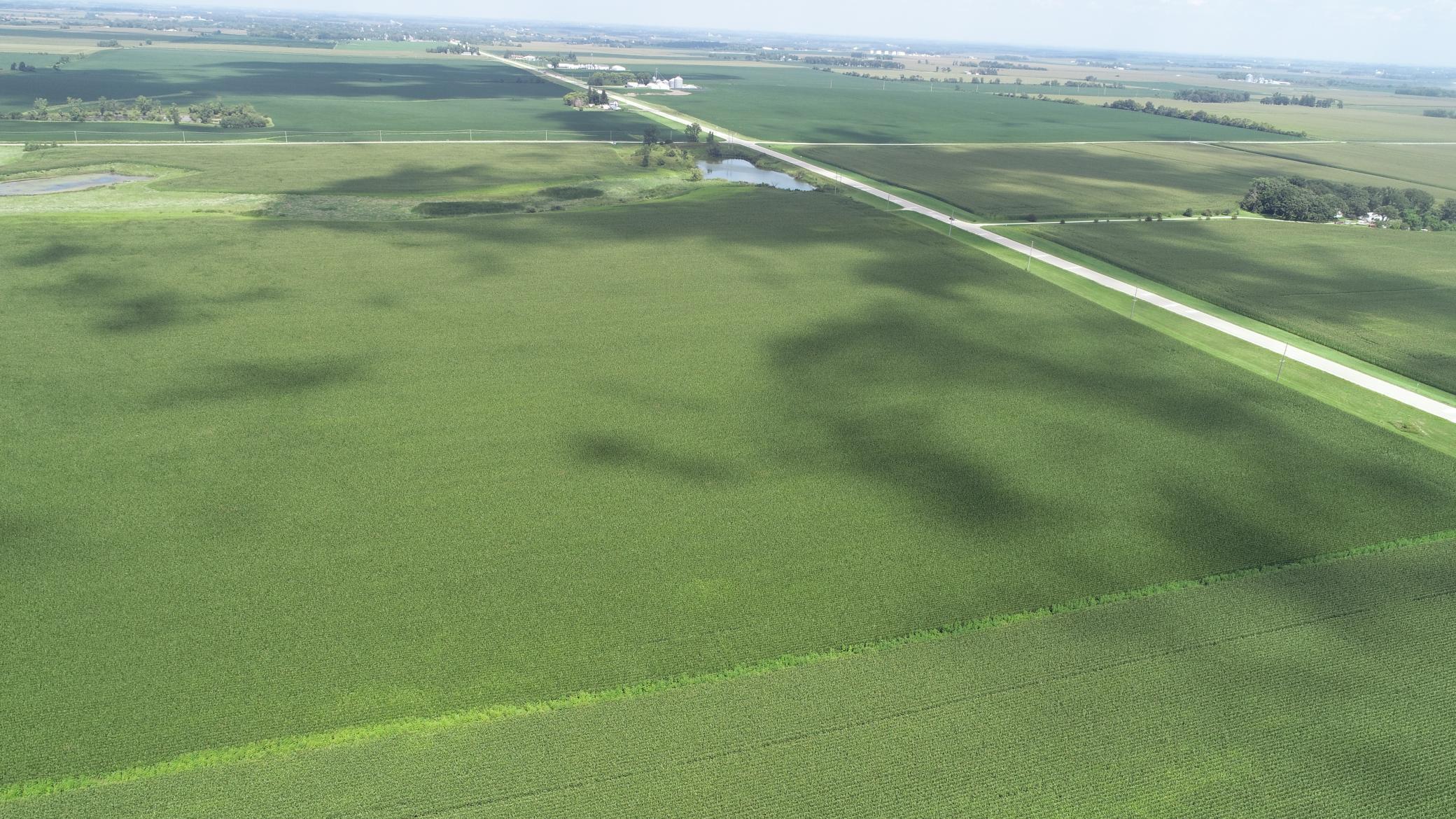 xxx Hwy 63 South, Spring Valley, MN, 55975