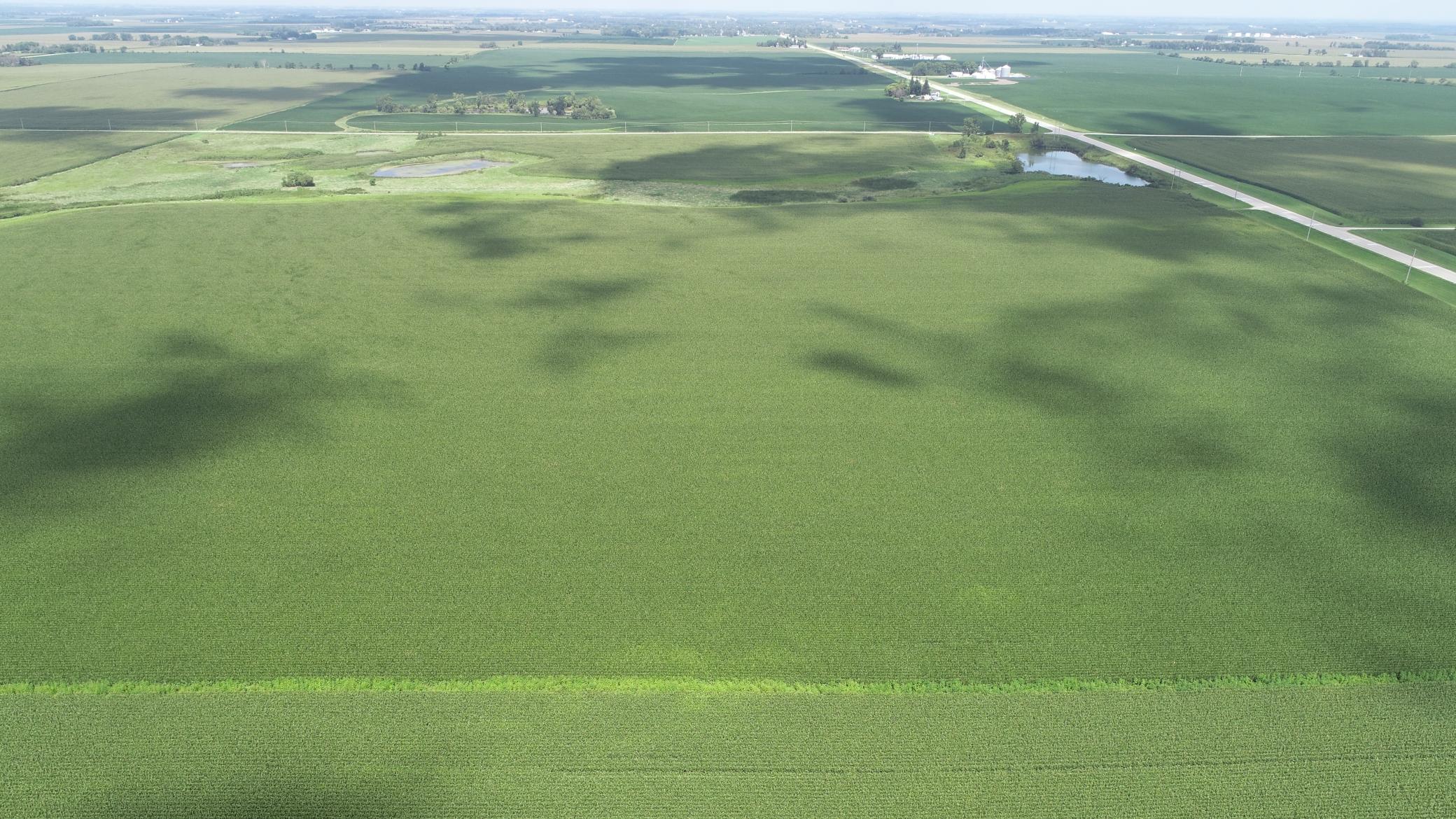 xxx Hwy 63 South, Spring Valley, MN, 55975