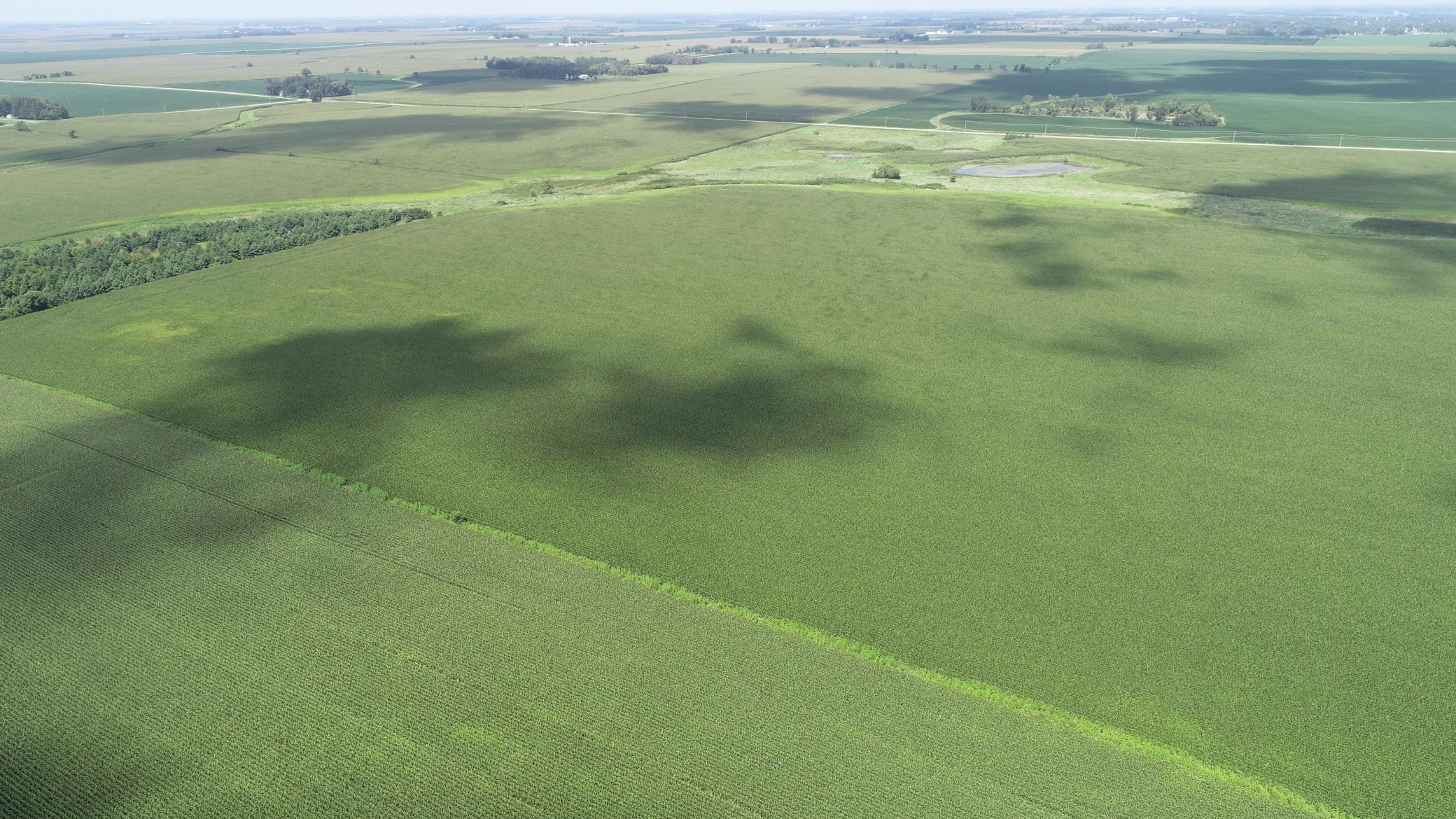 xxx Hwy 63 South, Spring Valley, MN, 55975