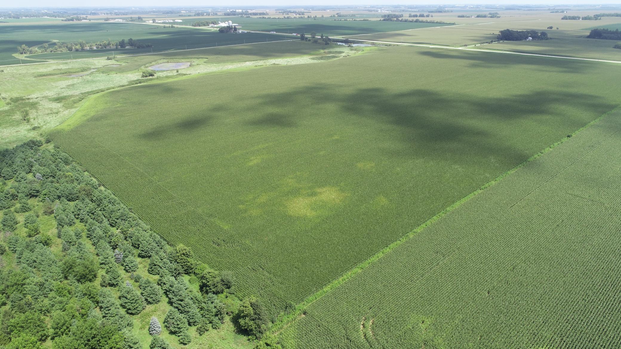 xxx Hwy 63 South, Spring Valley, MN, 55975