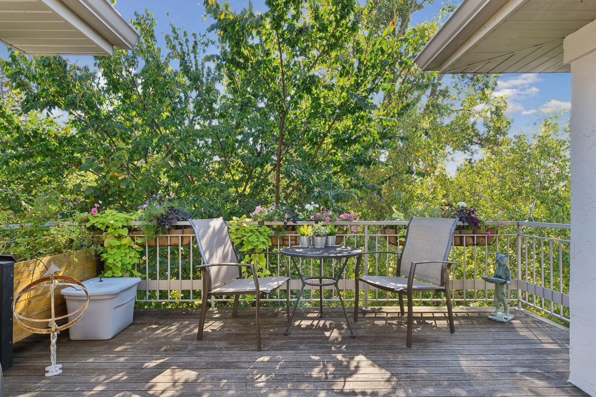 296 Grace Pointe Court, Wayzata, MN, 55391