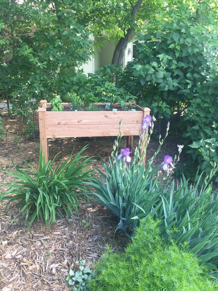 17379 Hayes Avenue, Lakeville, MN, 55044