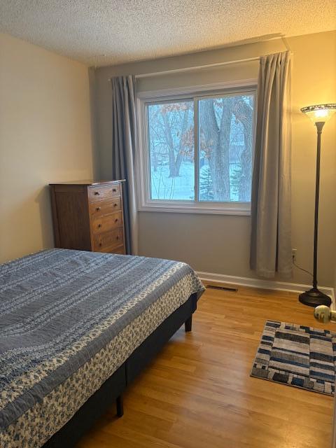 26586 Woodcrest Circle, Elko, MN, 55020