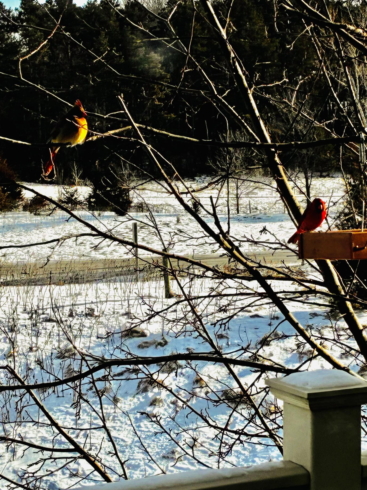 28 Heritage Boulevard, Hudson, WI, 54016