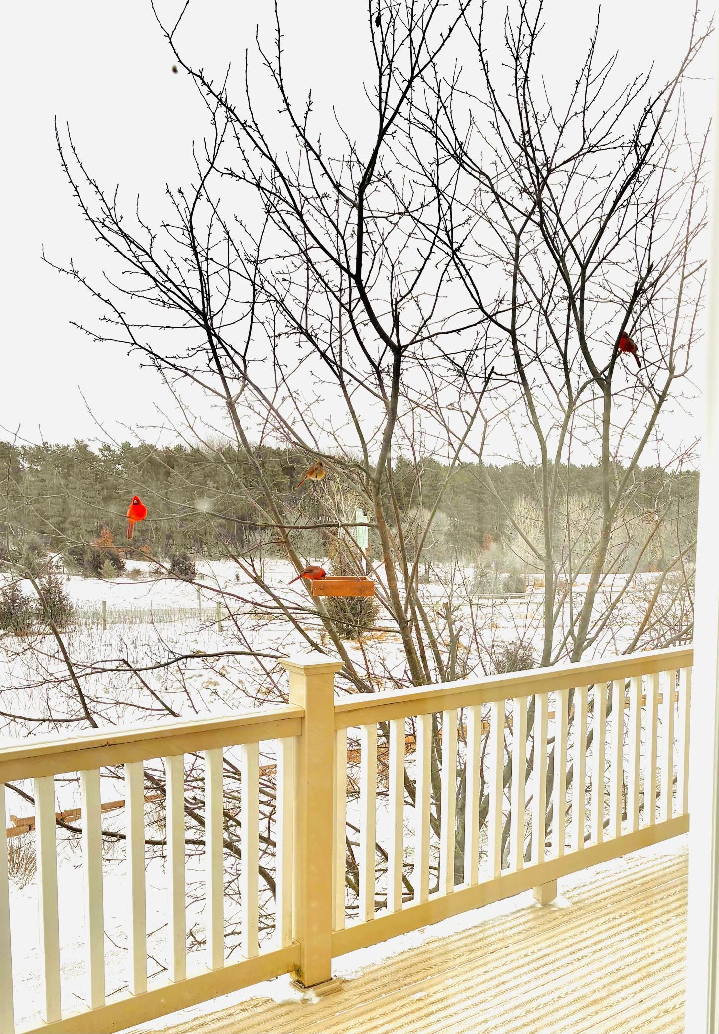 28 Heritage Boulevard, Hudson, WI, 54016