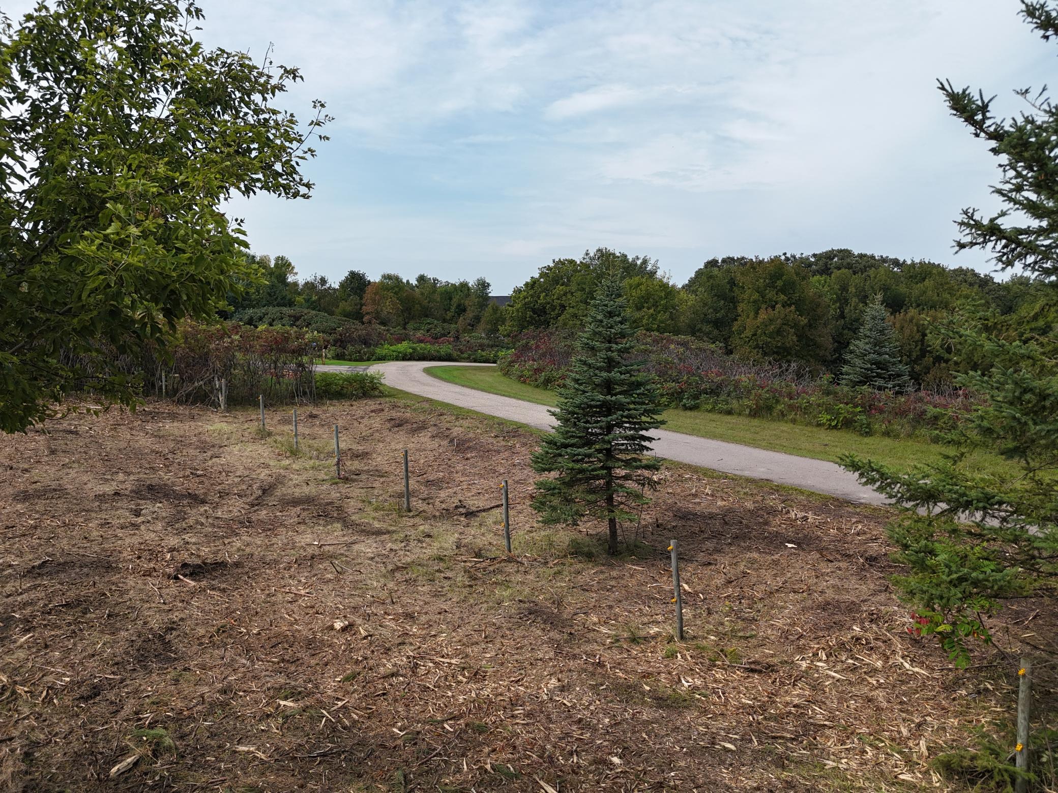 TBD Wintermute Lane, Morris, MN, 56267