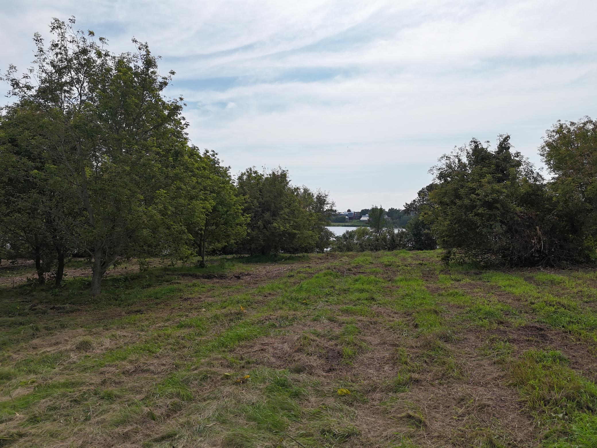 TBD Wintermute Lane, Morris, MN, 56267