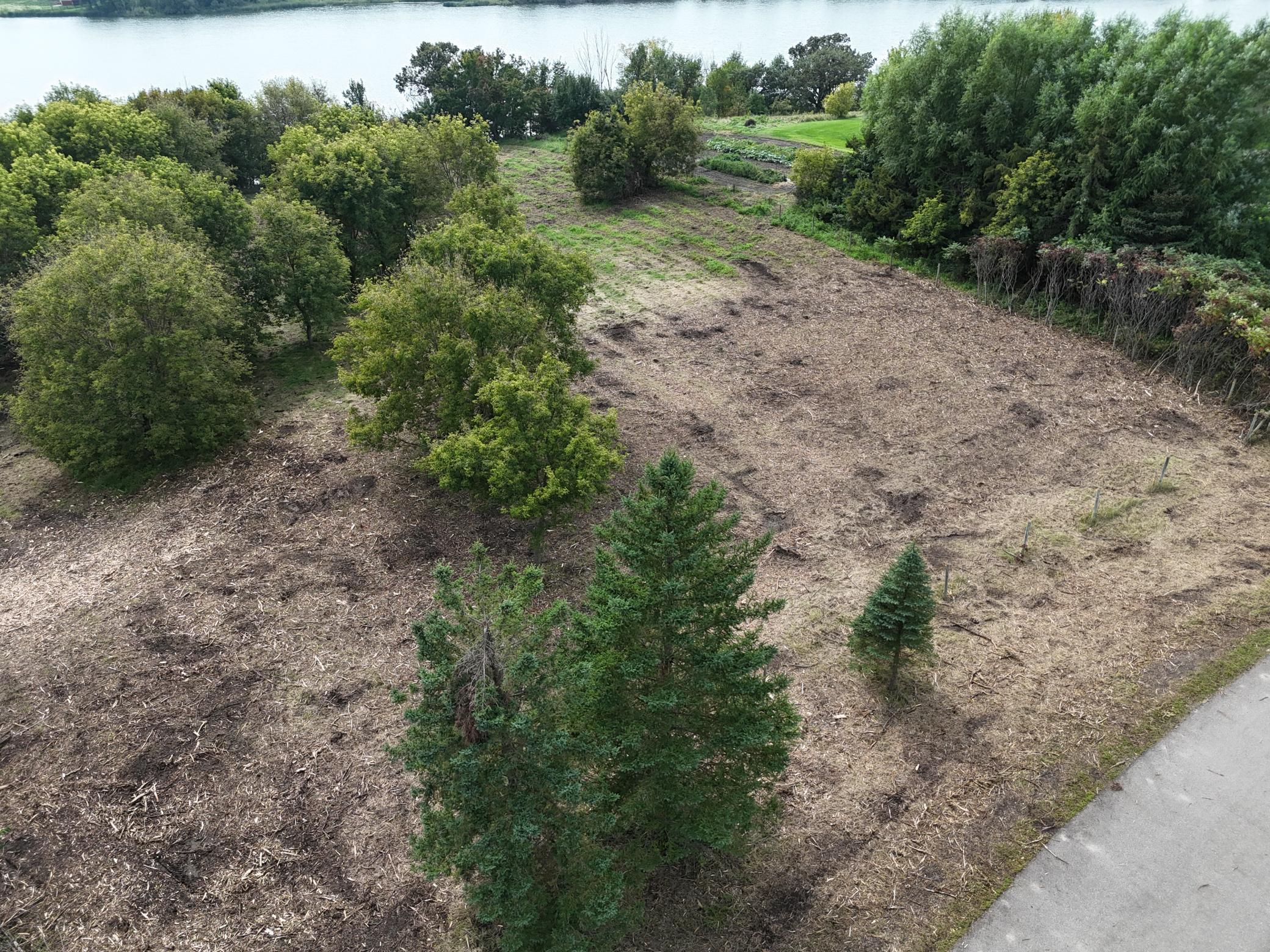 TBD Wintermute Lane, Morris, MN, 56267