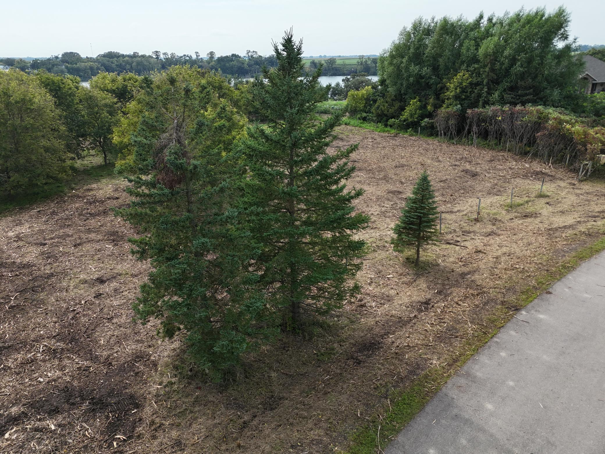 TBD Wintermute Lane, Morris, MN, 56267