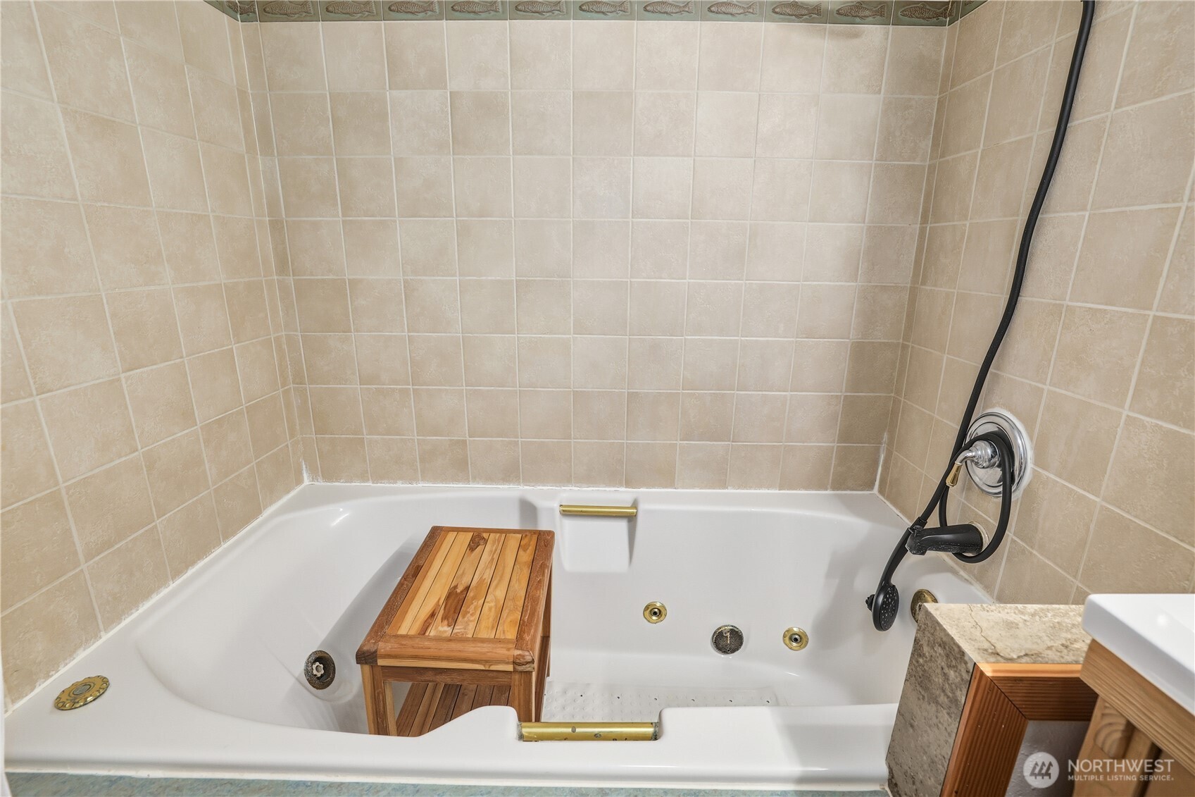 MLS #NWM2467625 image #9