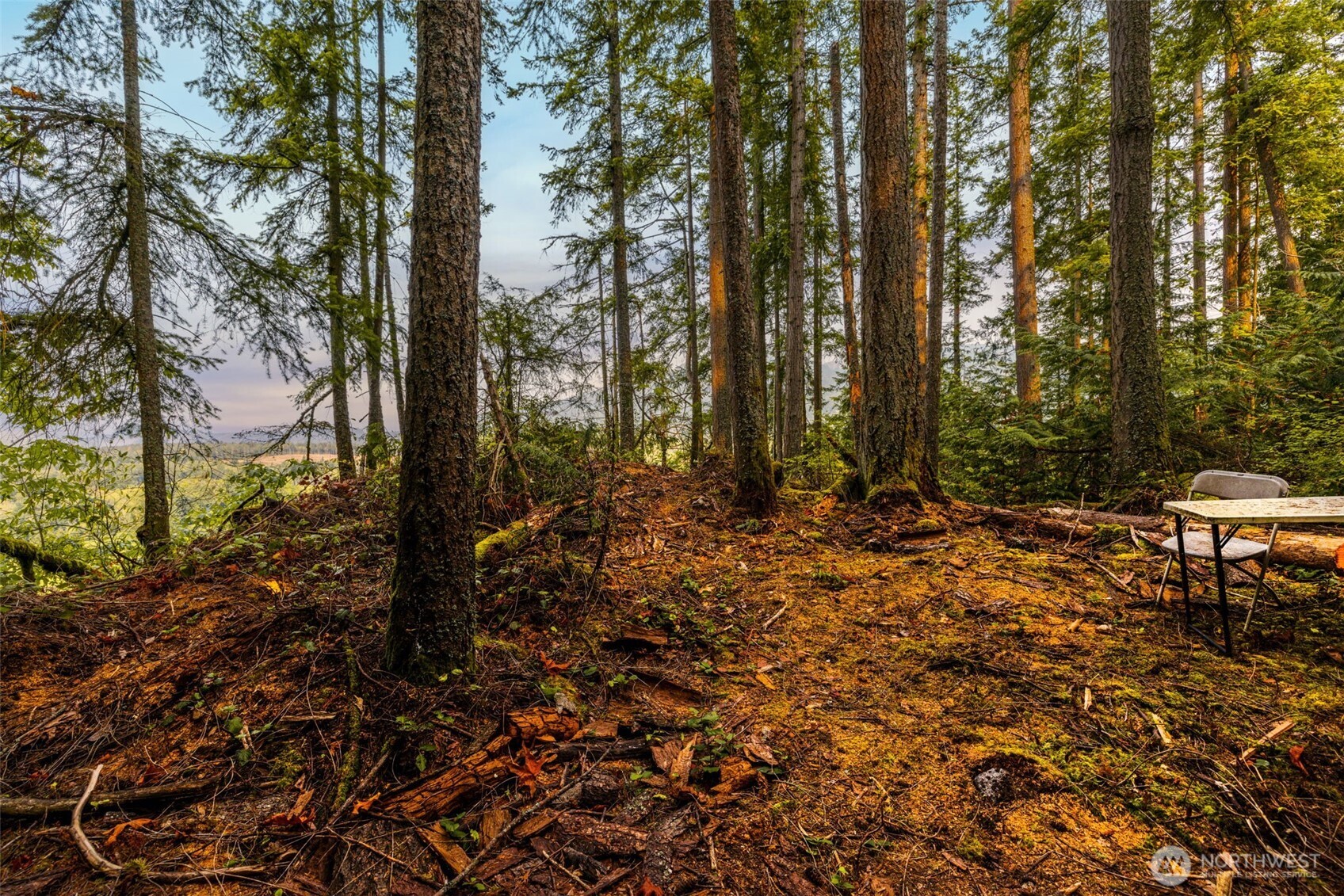 MLS #NWM2468748 image #36