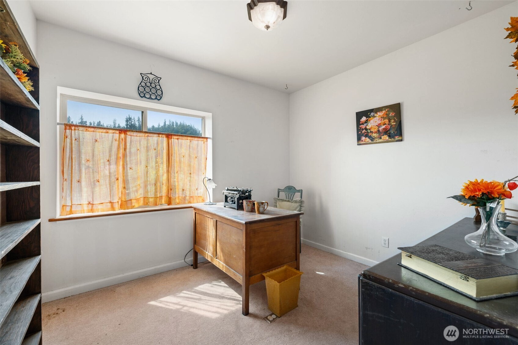 MLS #NWM2468748 image #5