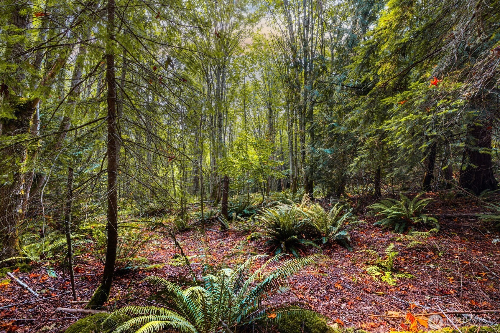 MLS #NWM2468748 image #37