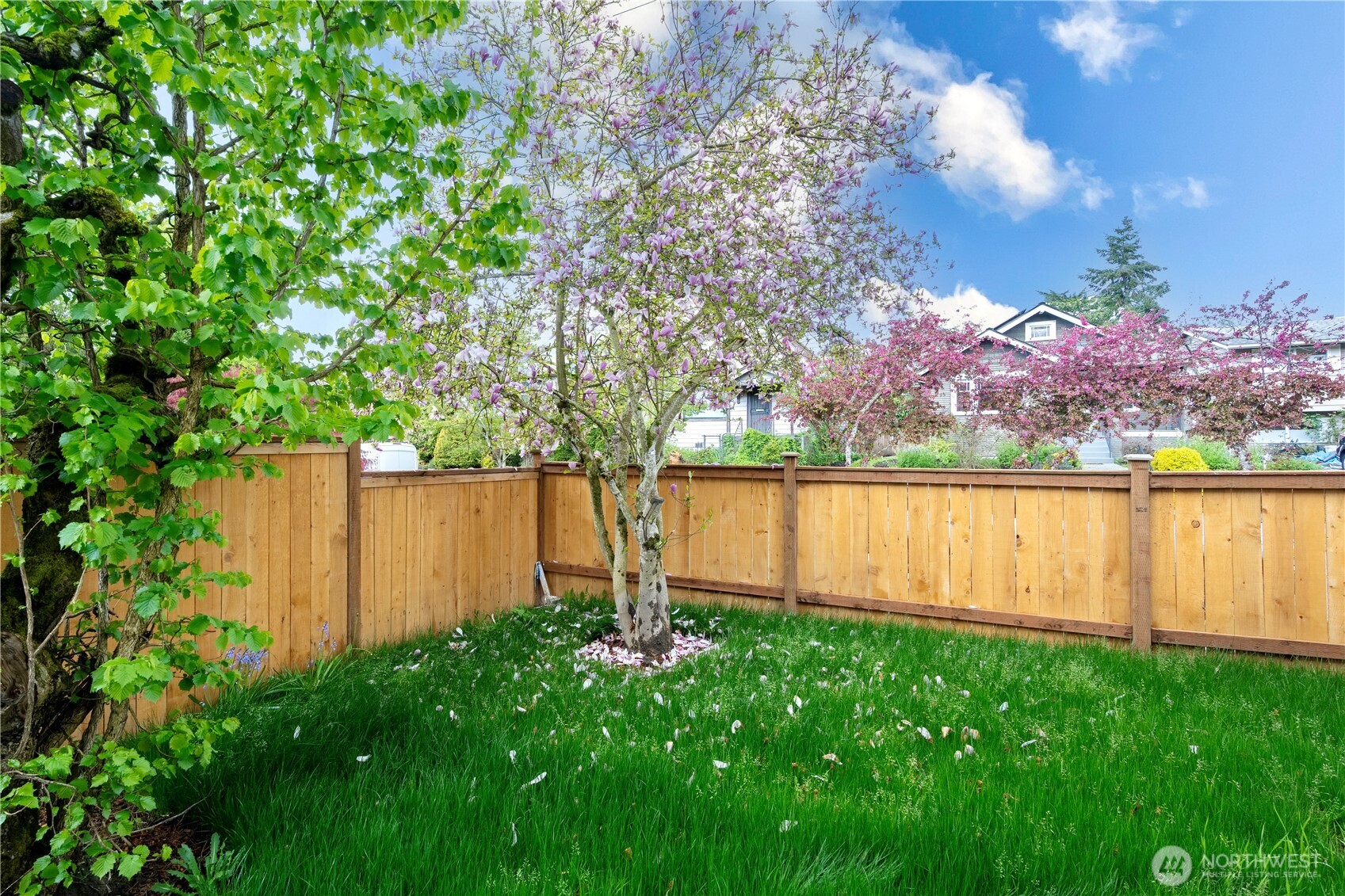 MLS #NWM2468958 image #26