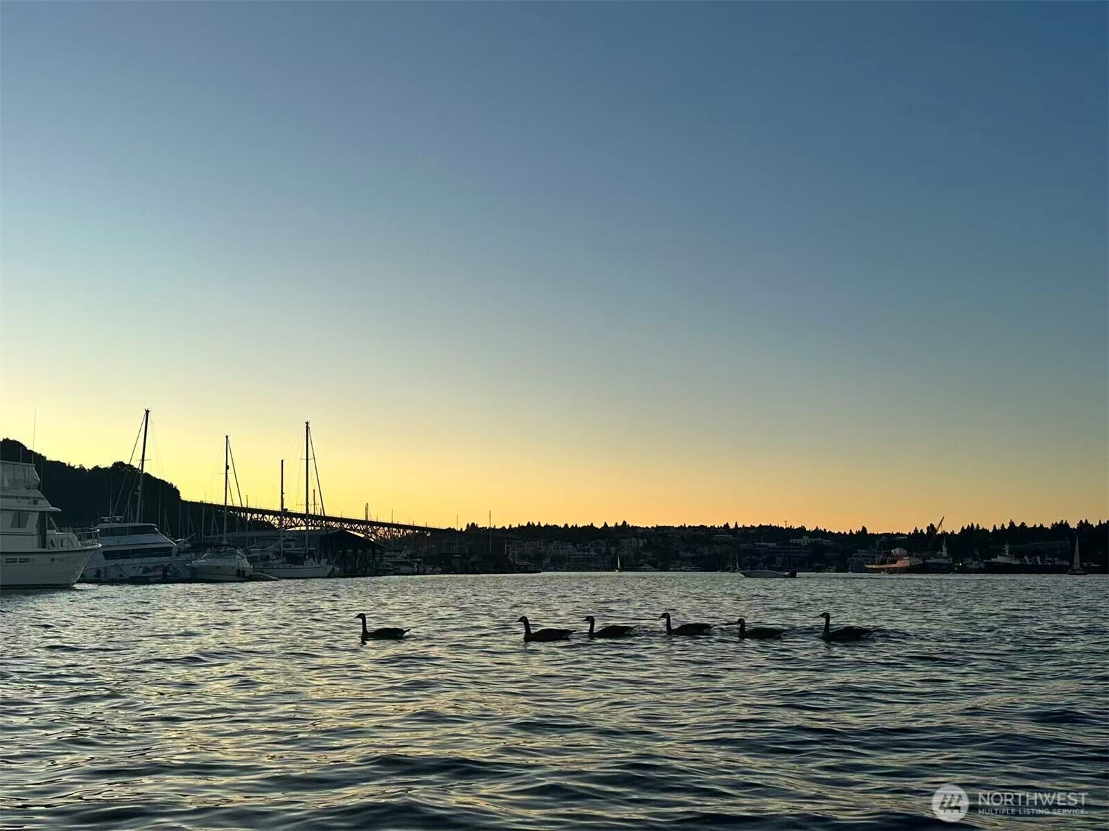 MLS #NWM2469688 image #34