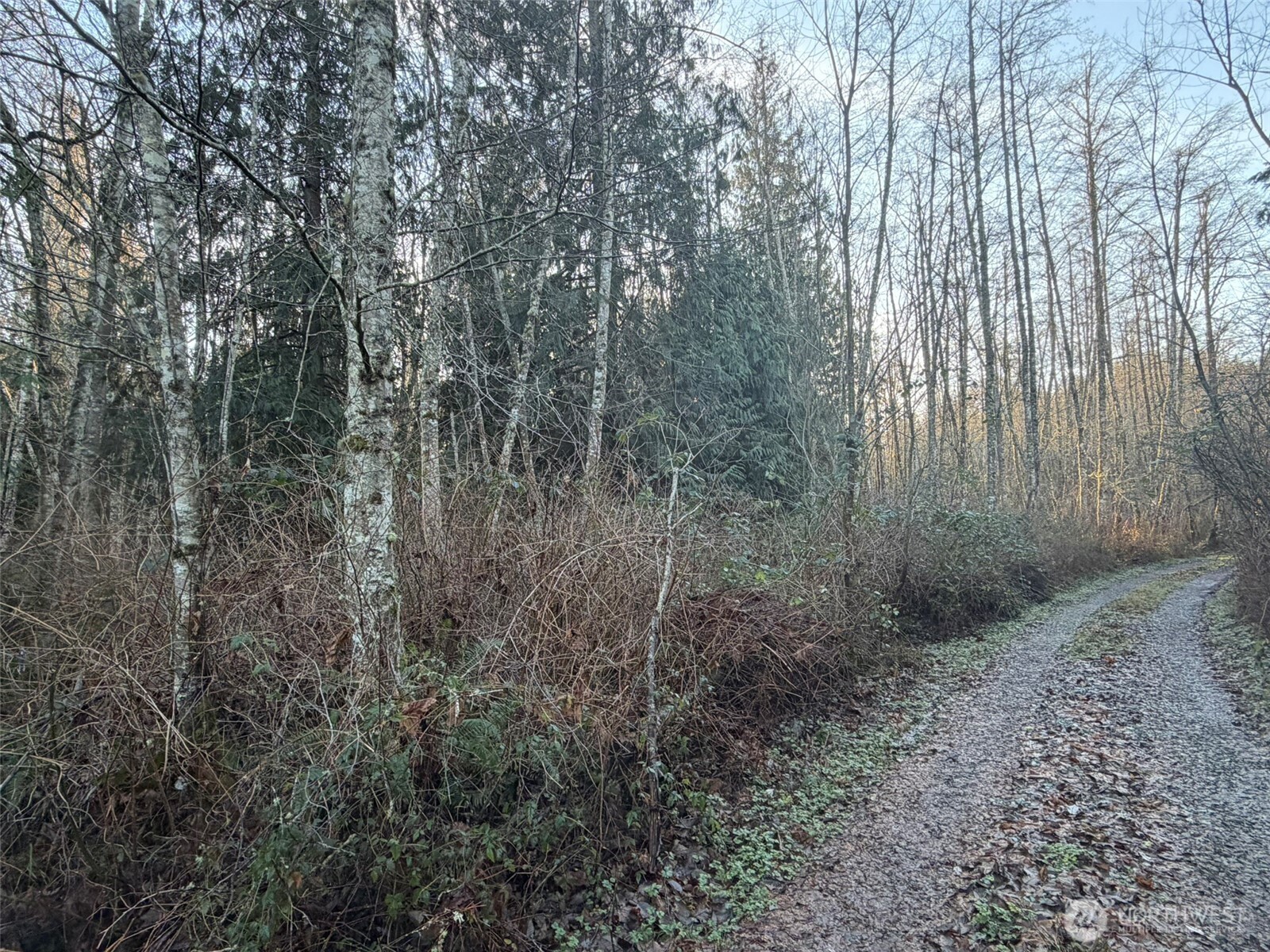 MLS #NWM2469770 image #5