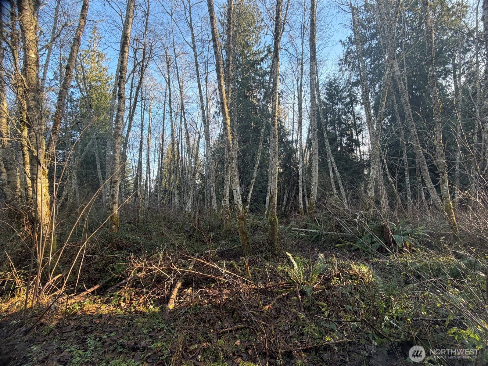 MLS #NWM2469770 image #10