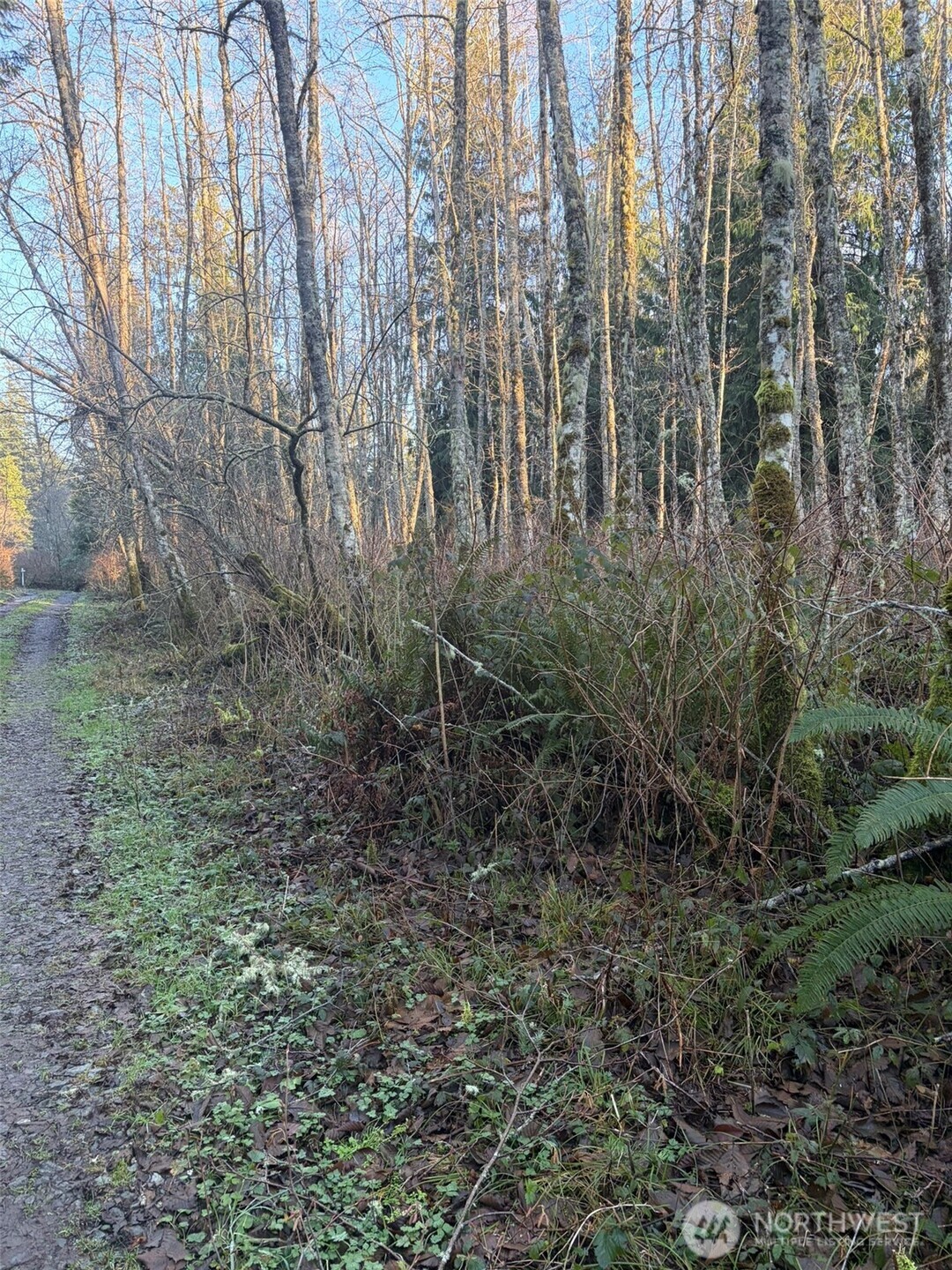 MLS #NWM2469770 image #1