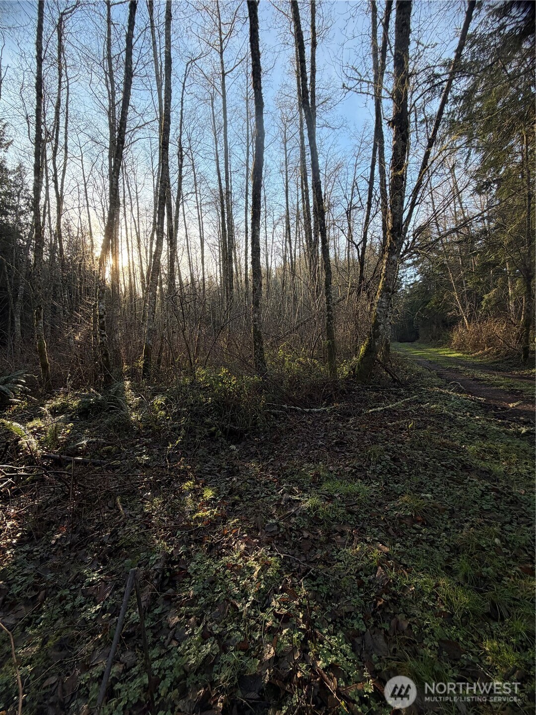 MLS #NWM2469770 image #12