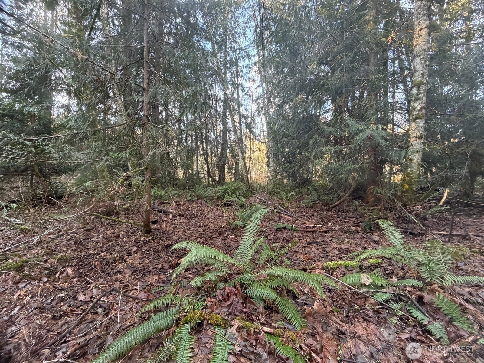 MLS #NWM2469770 image #8