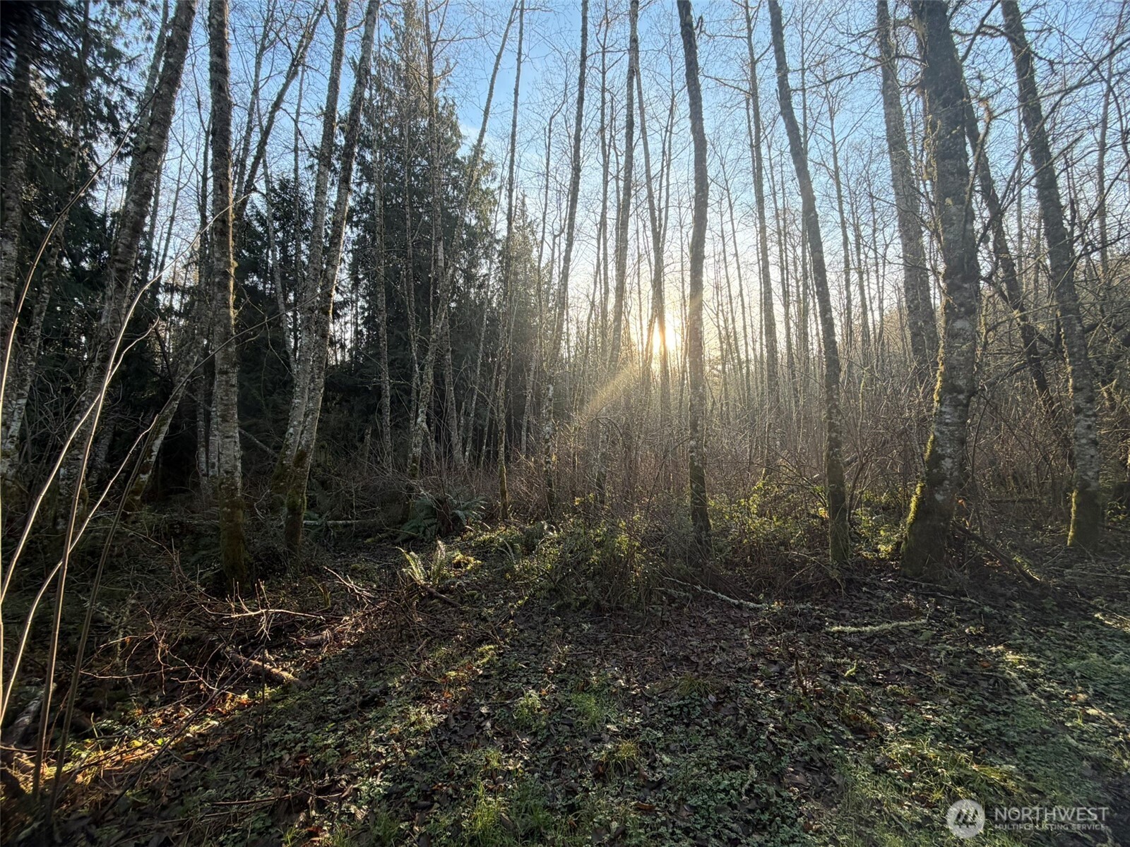 MLS #NWM2469770 image #11