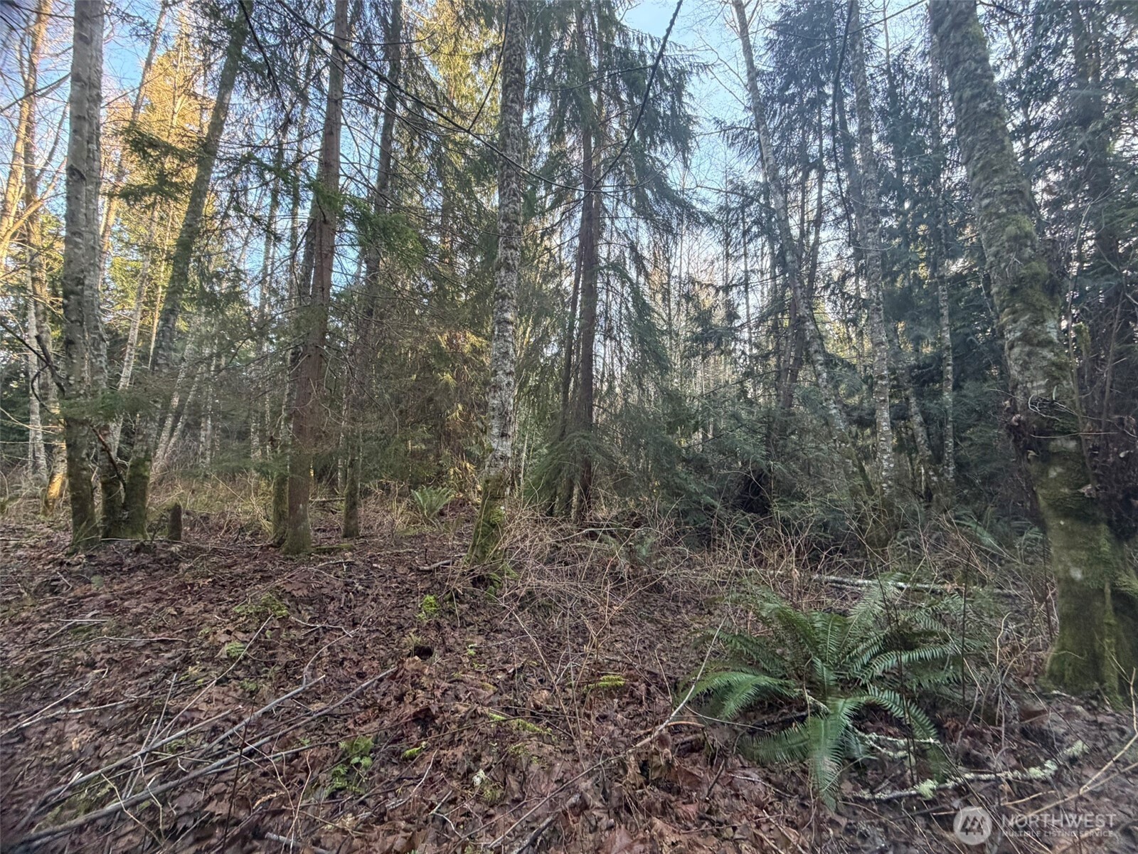 MLS #NWM2469770 image #6