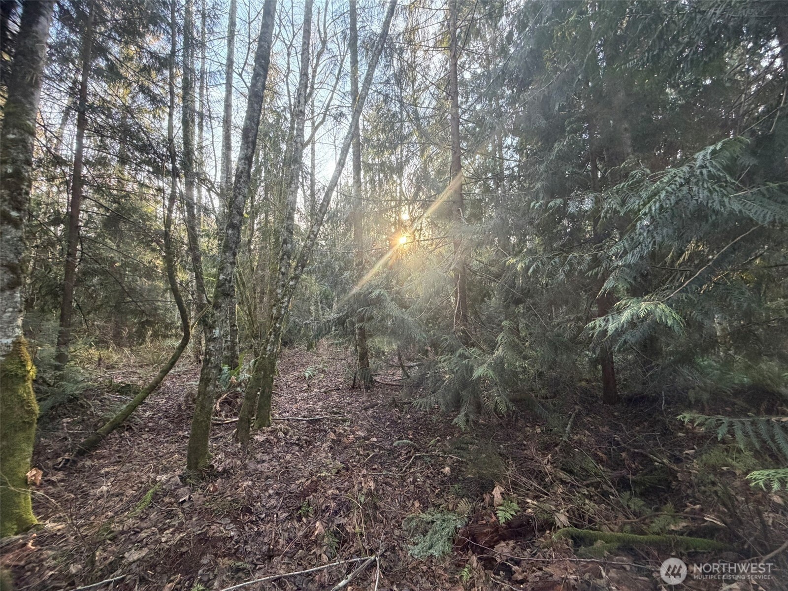 MLS #NWM2469770 image #9