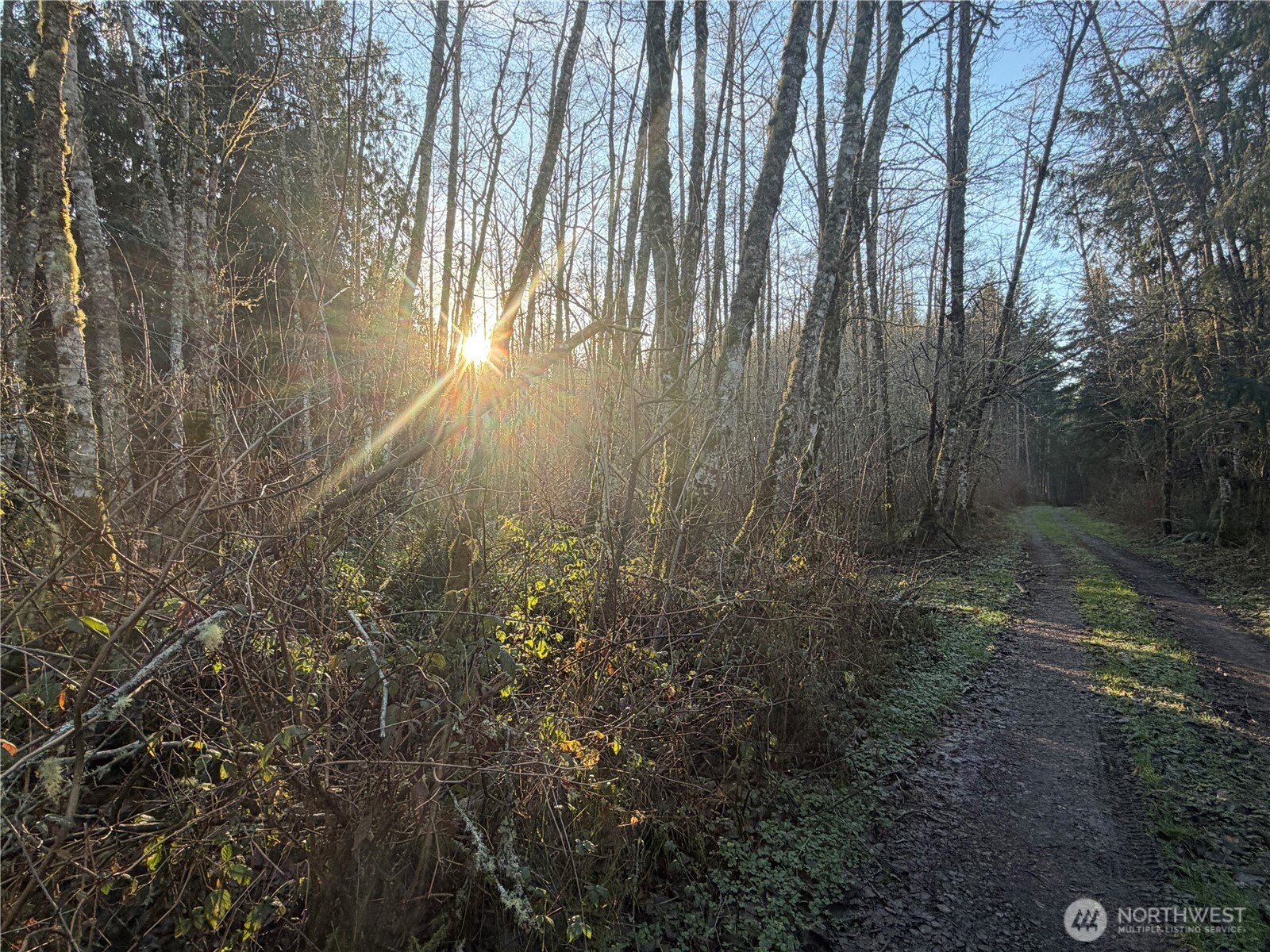 MLS #NWM2469770 image #13