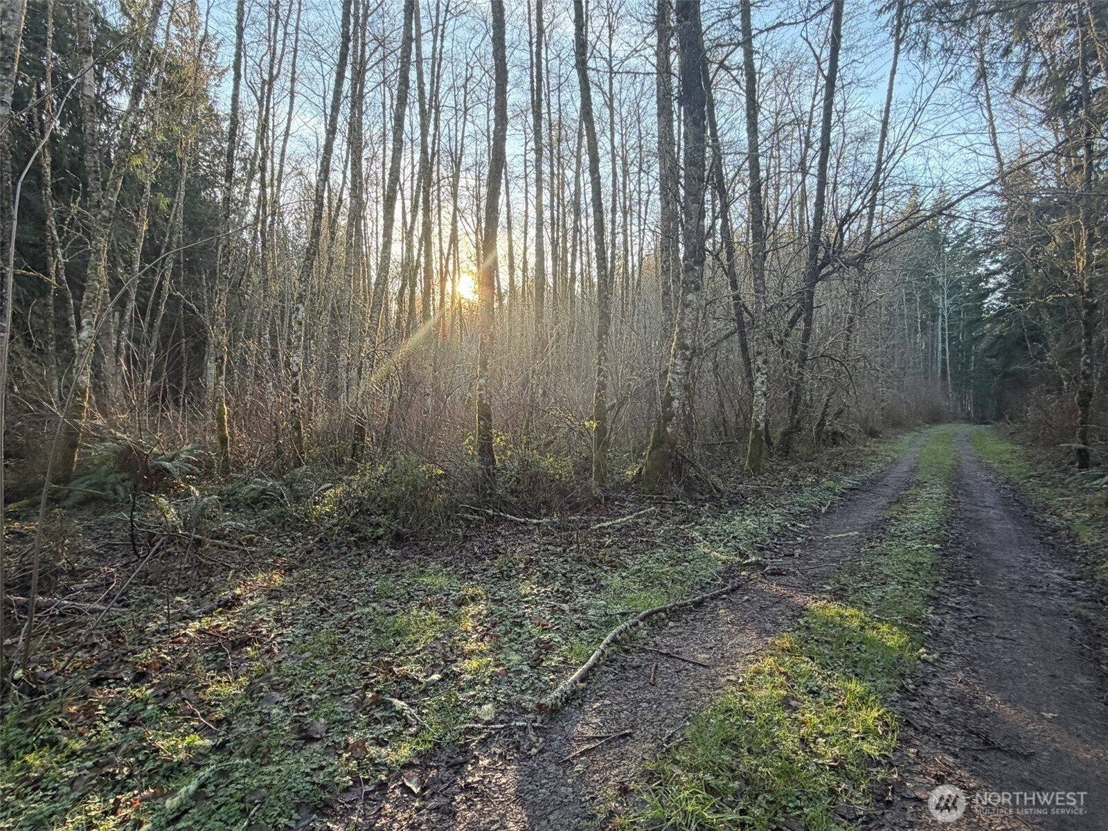 MLS #NWM2469770 image #4