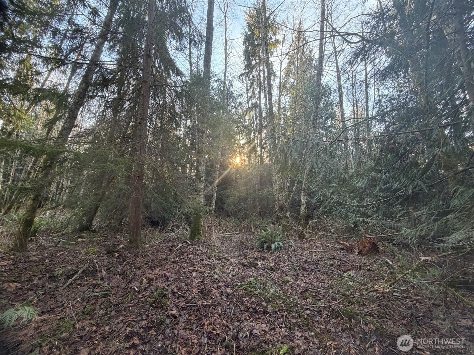 MLS #NWM2469770 image #7