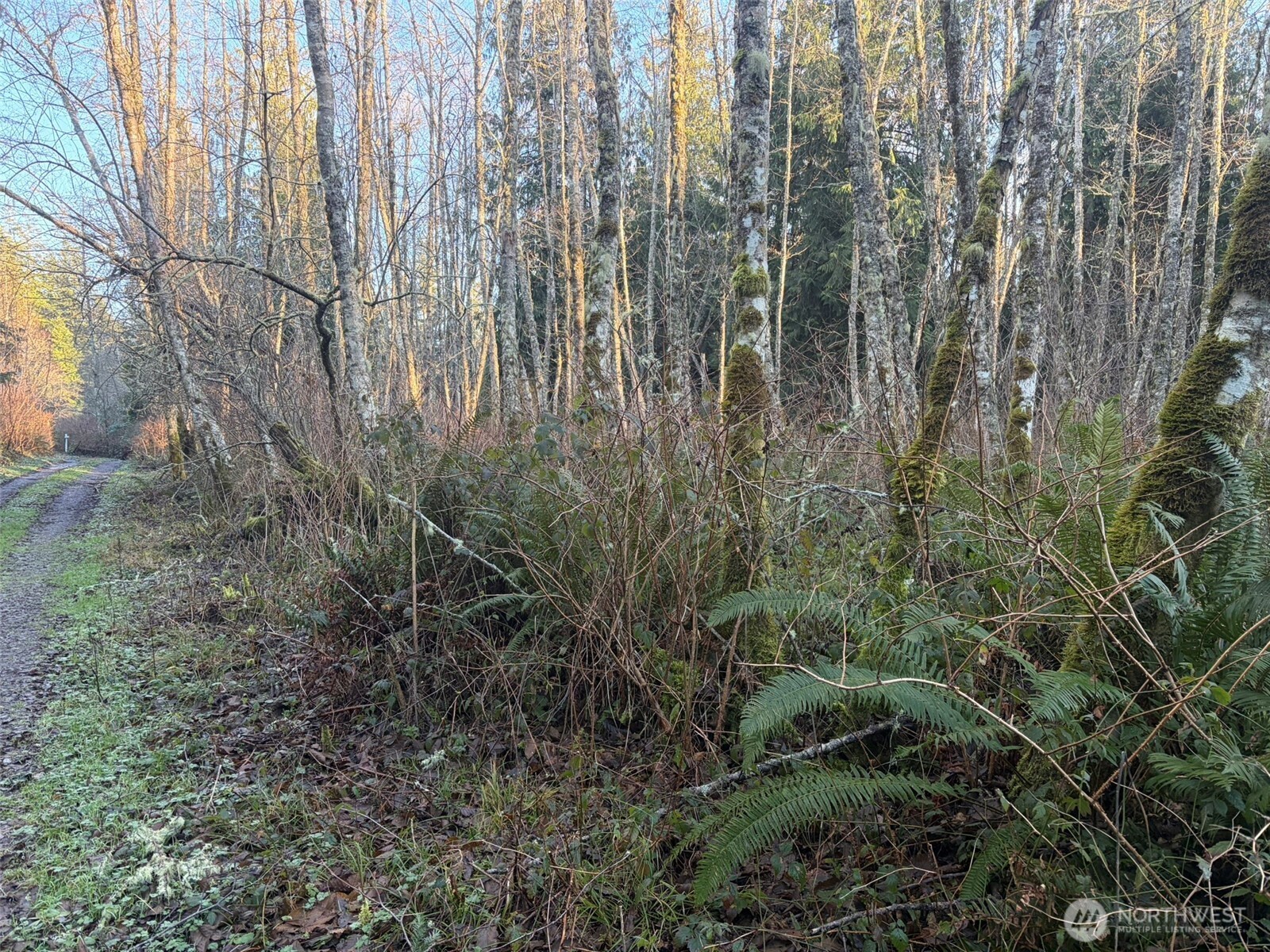 MLS #NWM2469770 image #2