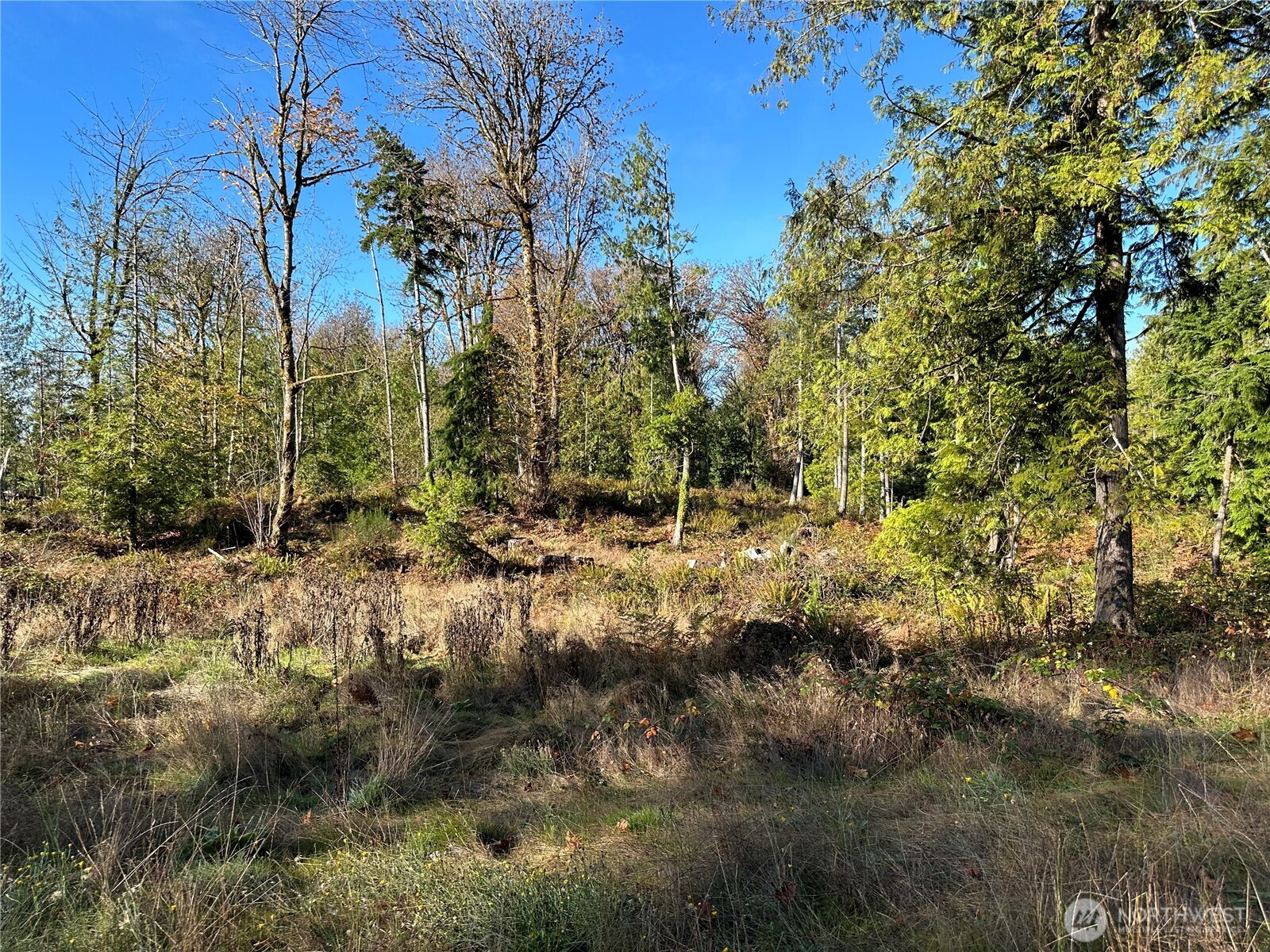 MLS #NWM2469777 image #5