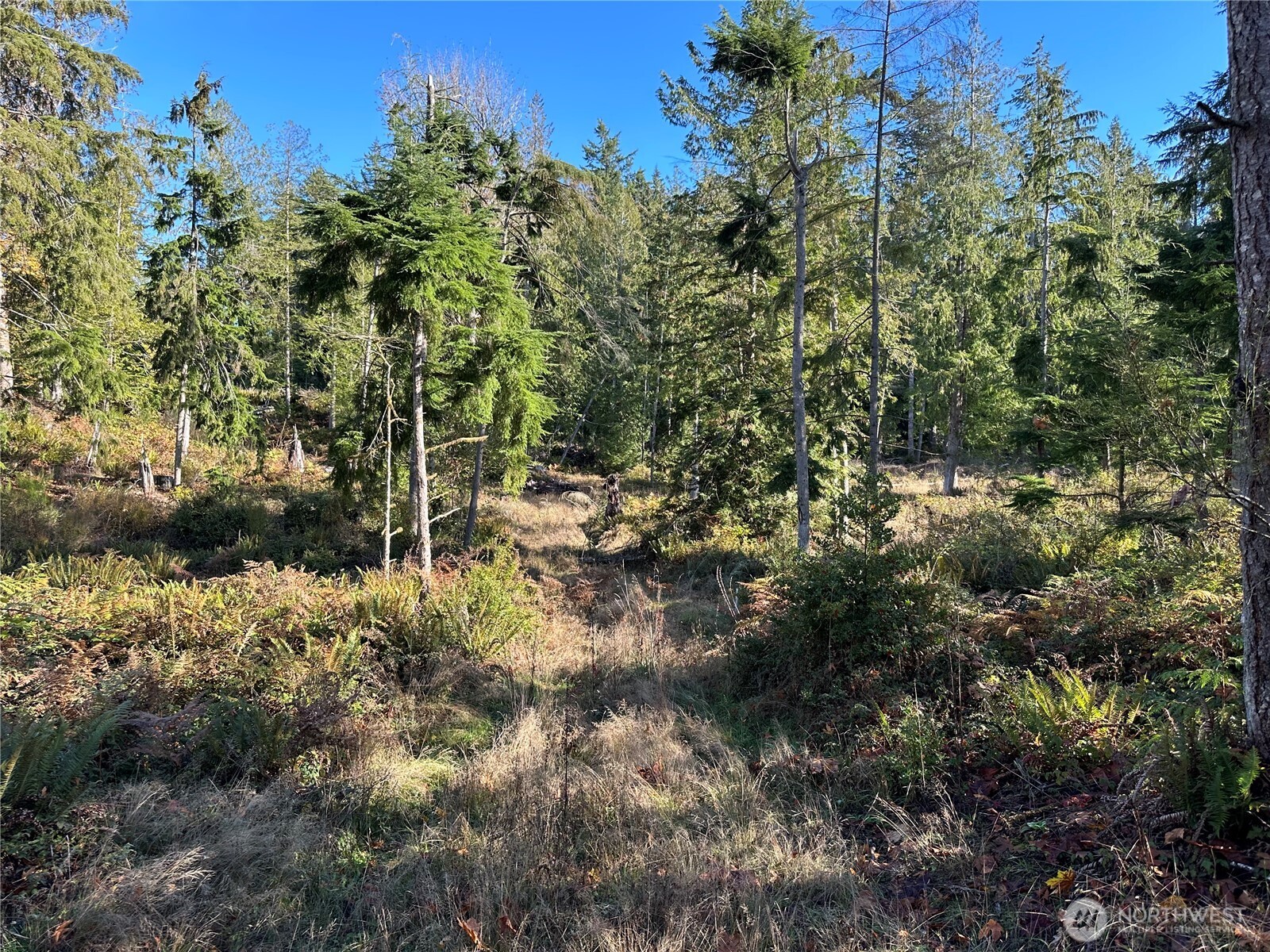 MLS #NWM2469777 image #2