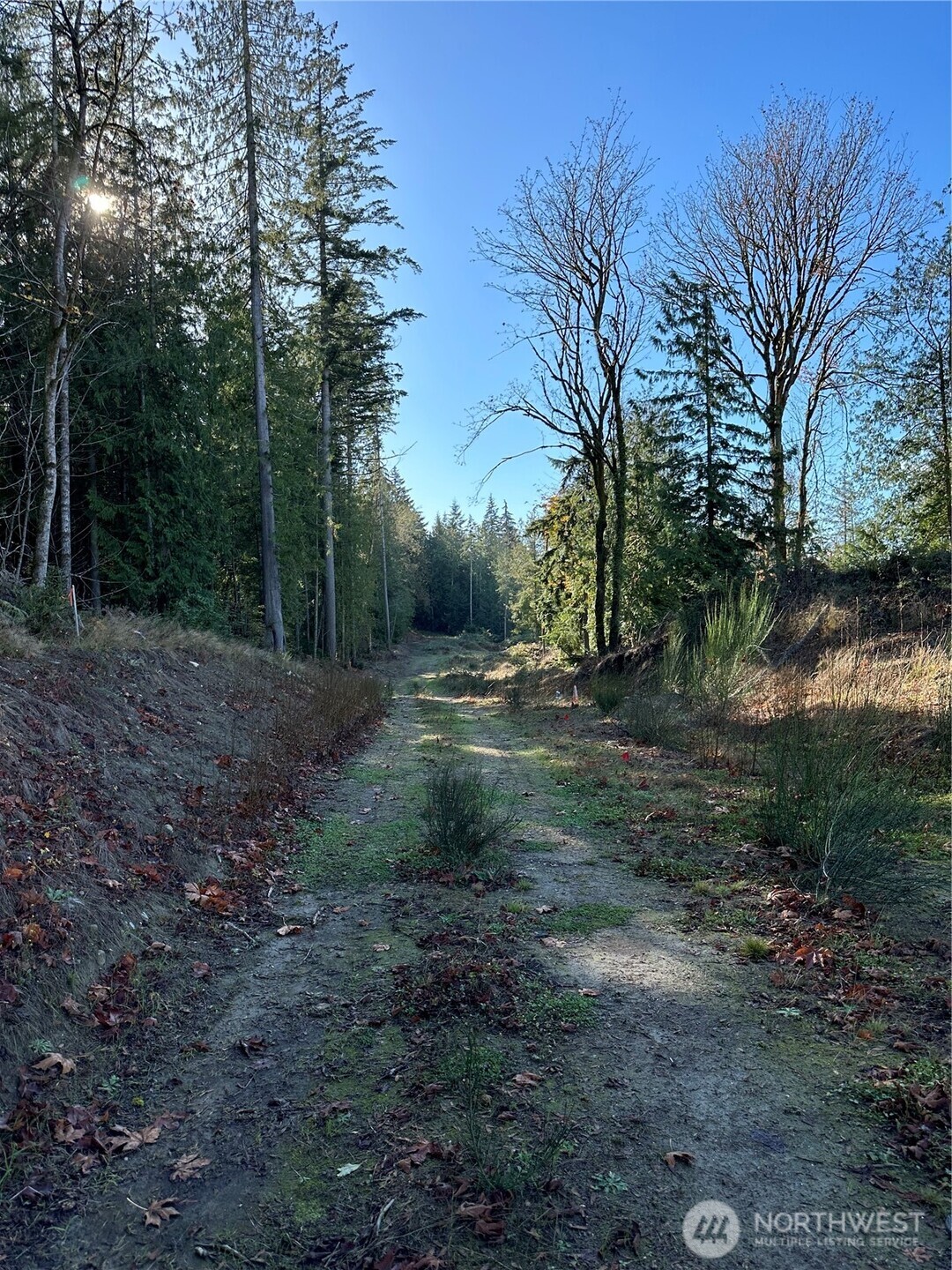 MLS #NWM2469777 image #6