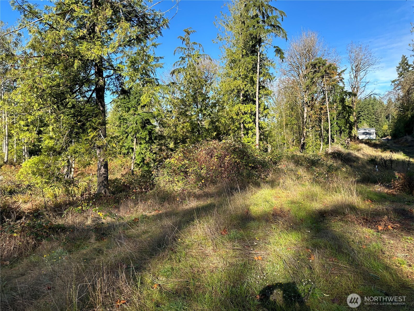 MLS #NWM2469777 image #4