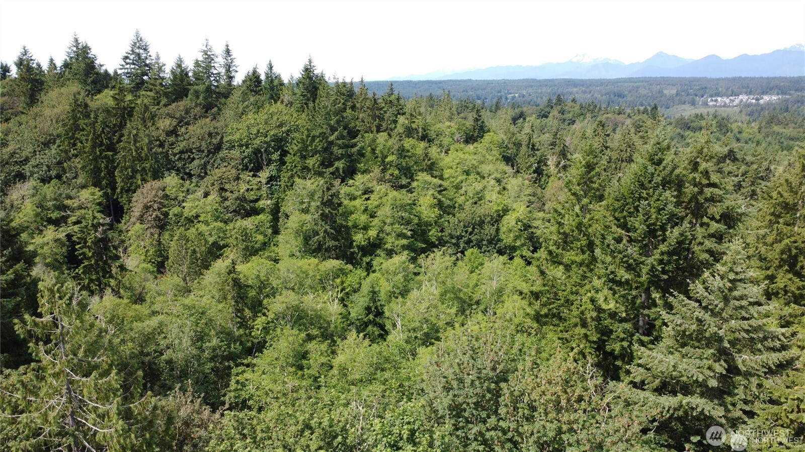 MLS #NWM2469853 image #26