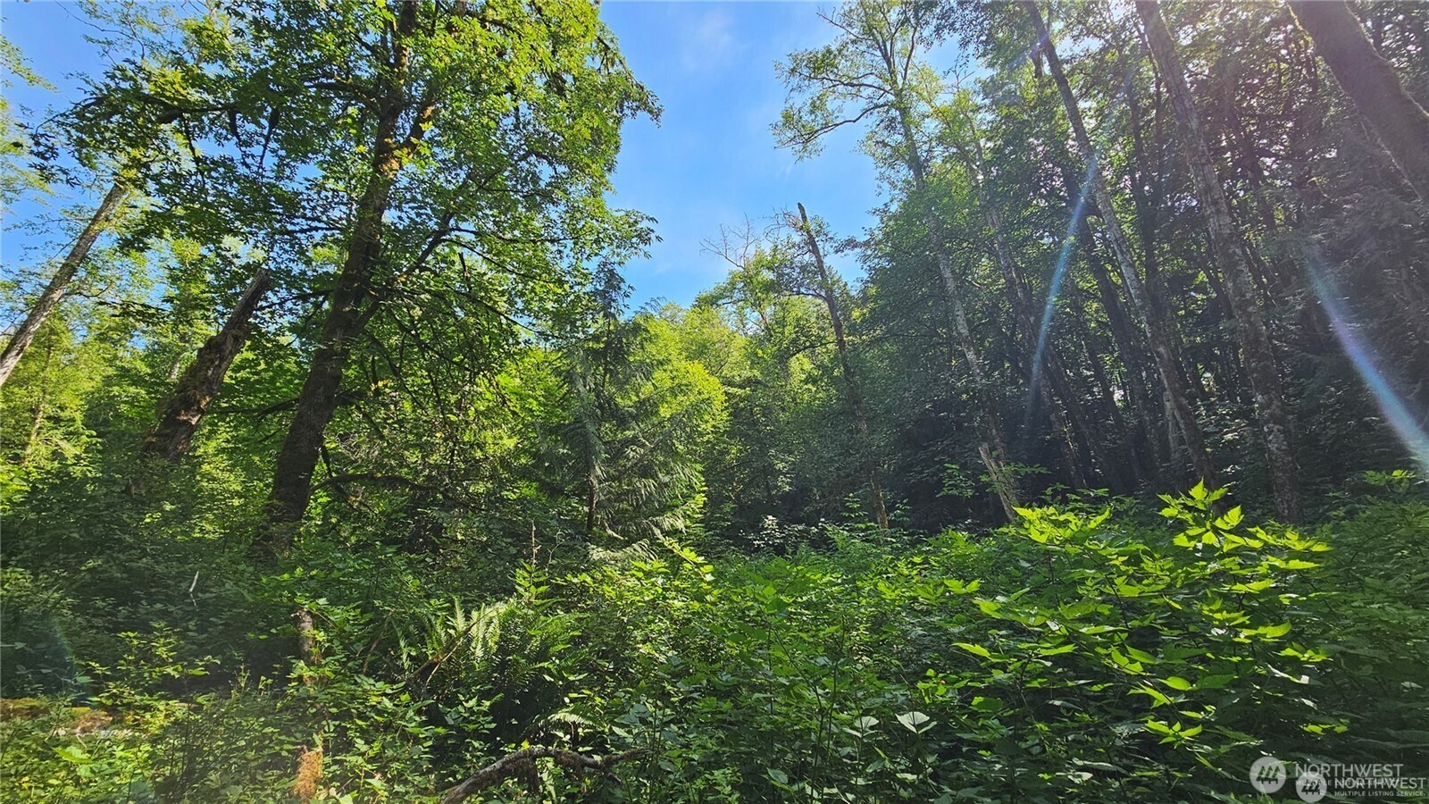 MLS #NWM2469853 image #5