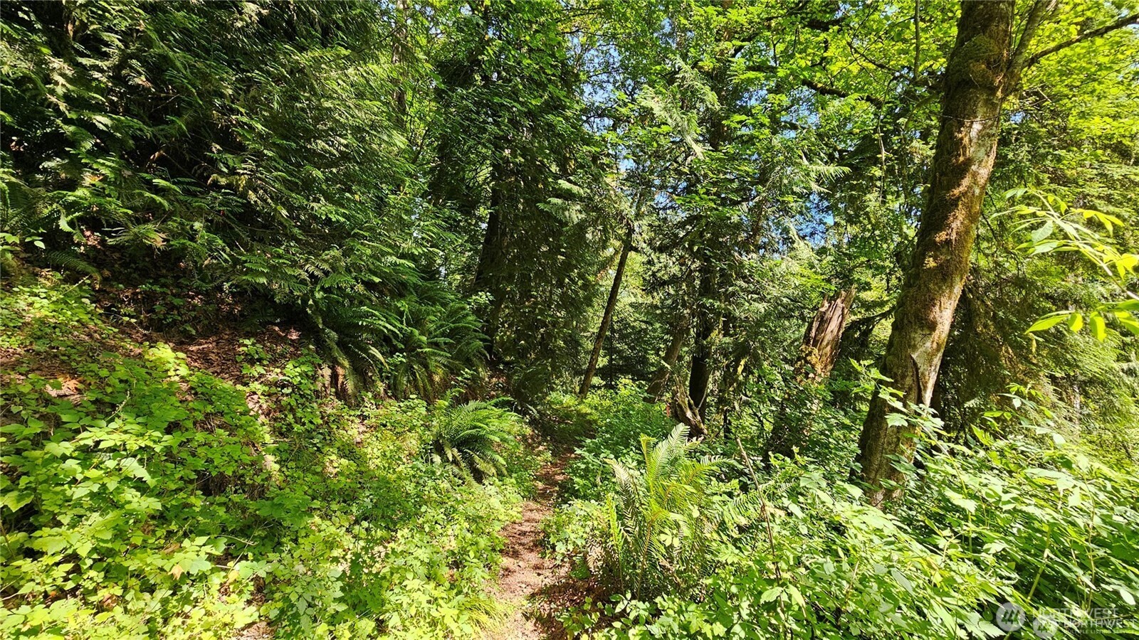 MLS #NWM2469853 image #4