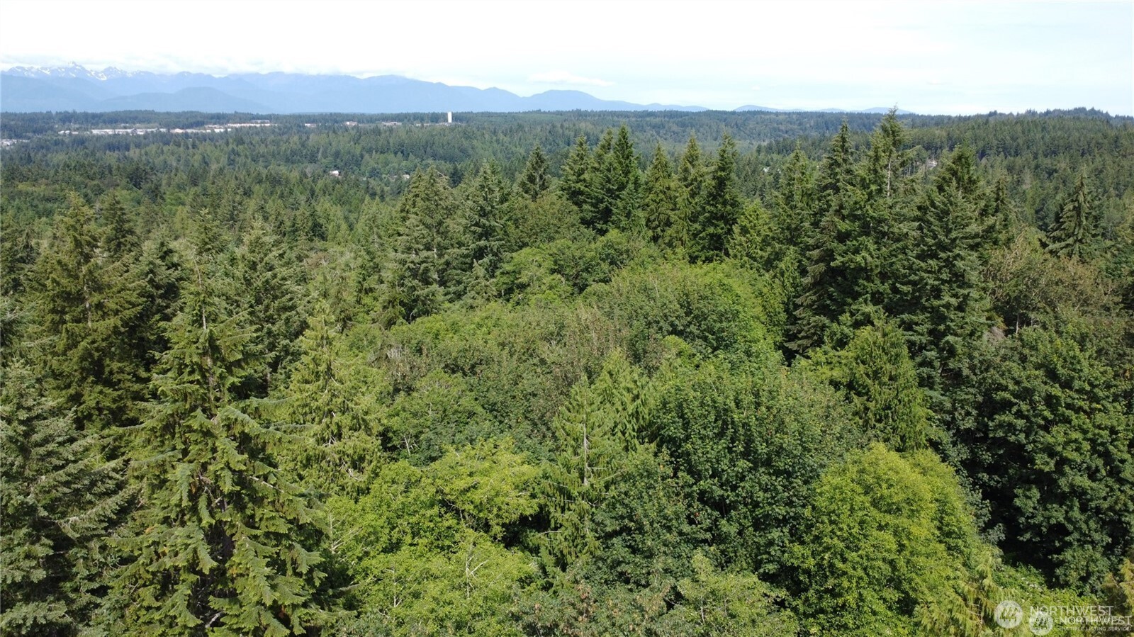 MLS #NWM2469853 image #28