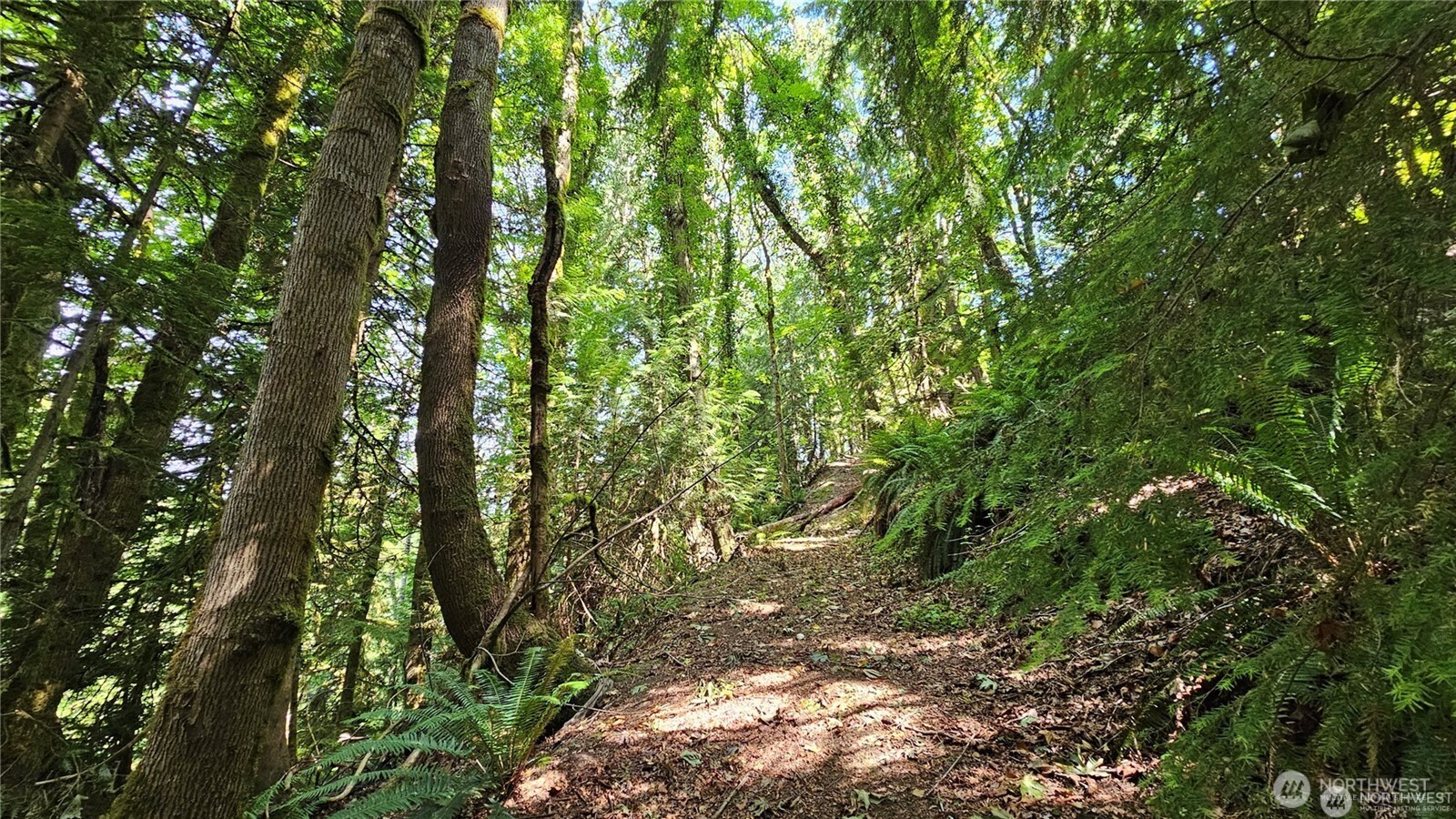 MLS #NWM2469853 image #14