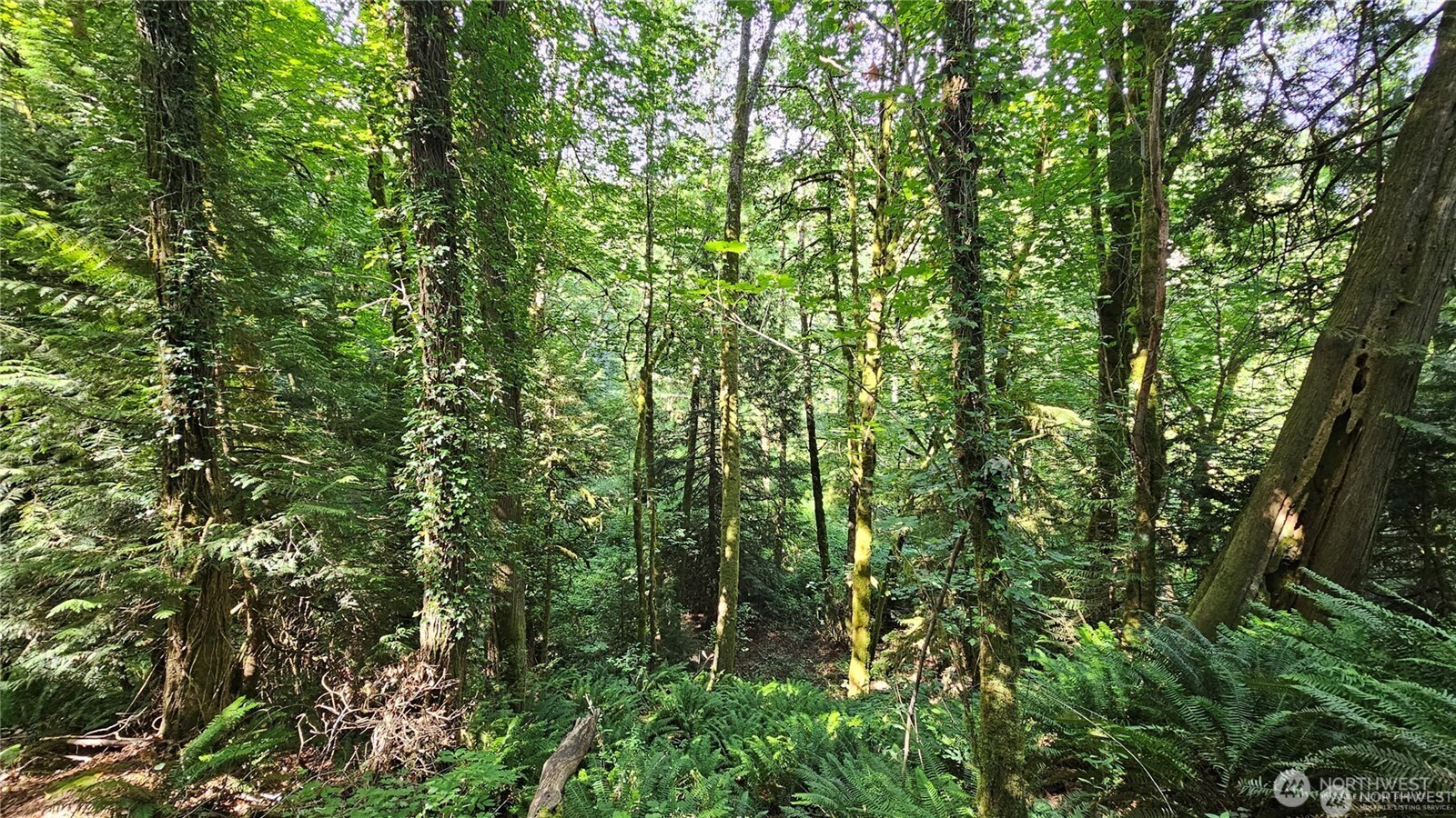 MLS #NWM2469853 image #16