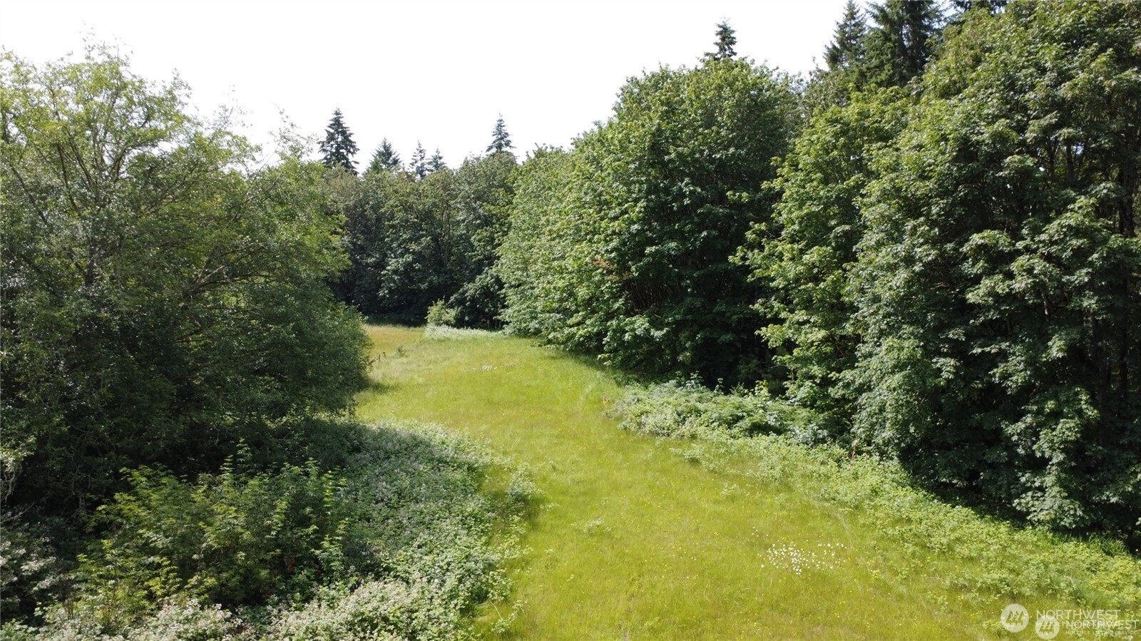 MLS #NWM2469853 image #25