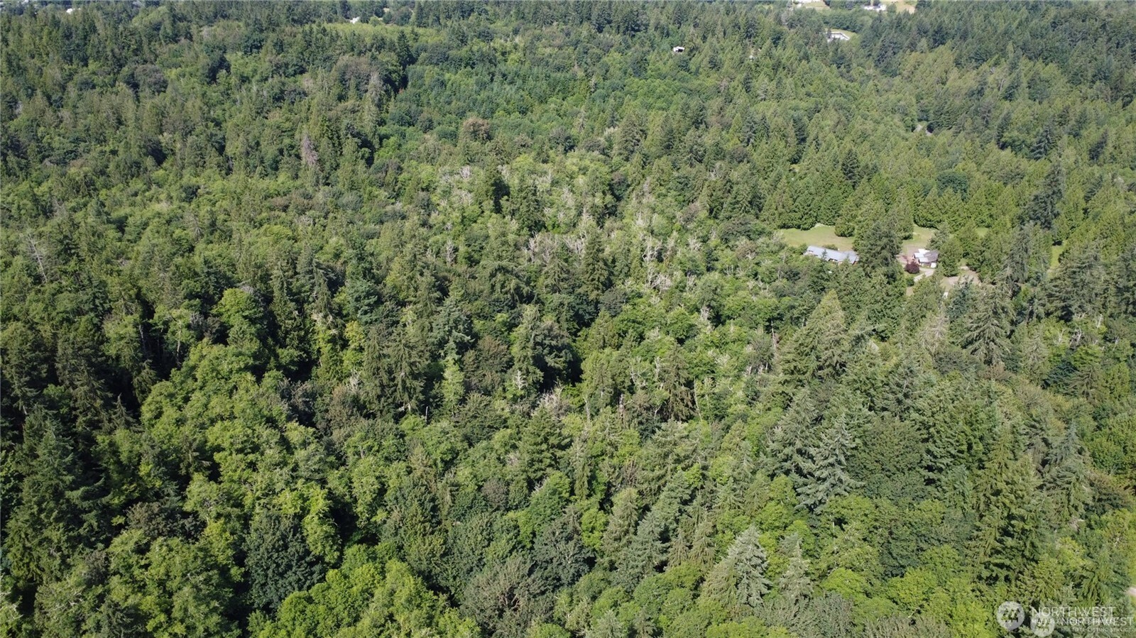 MLS #NWM2469853 image #8